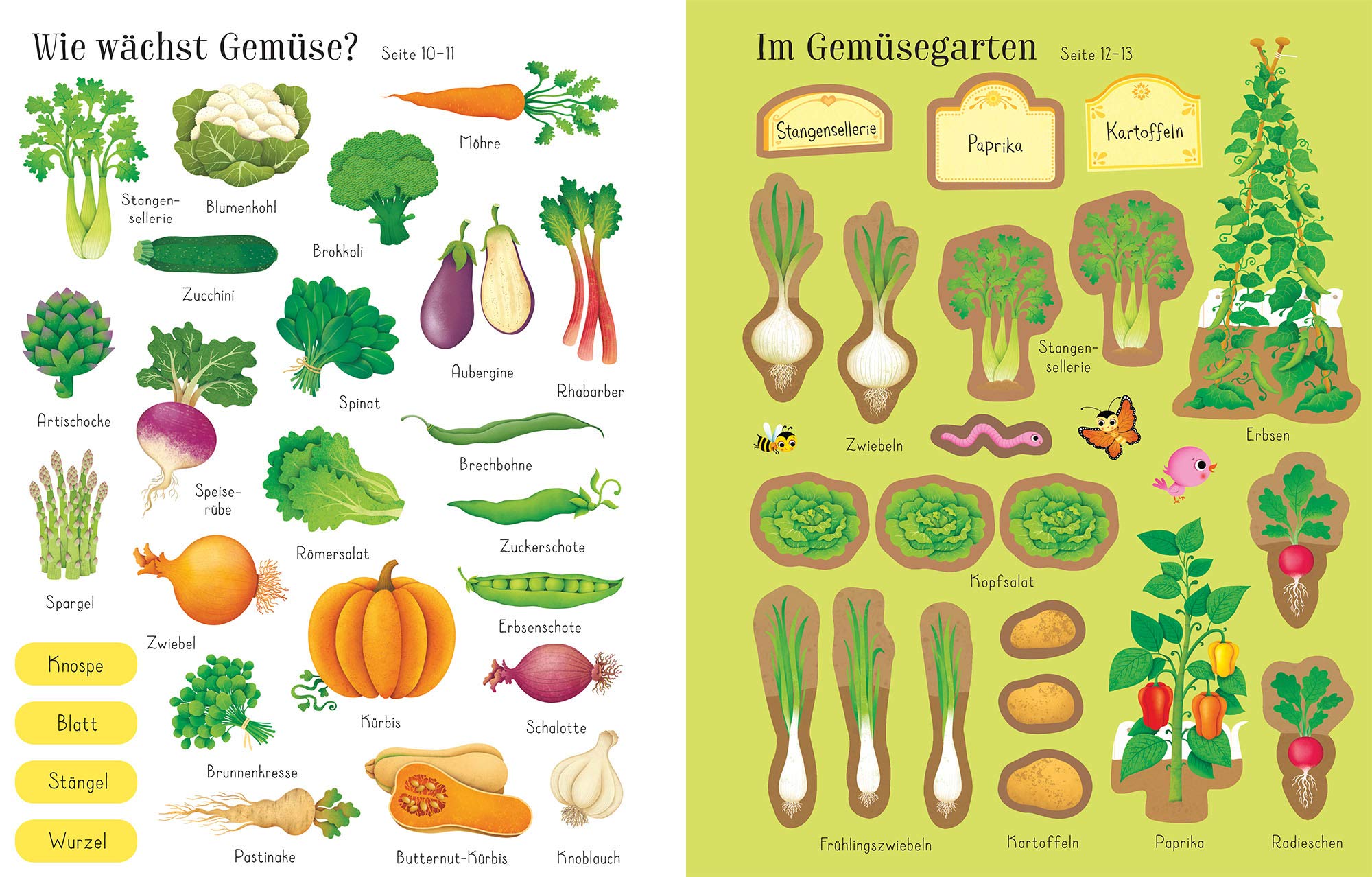 Mein Stickerbuch: Wie wachsen Obst und Gemüse?