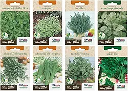 Kit 8 Sementes de Horta Temperos Alecrim Cebolinha Hortela Manjericao Oregano Tomilho Coentro Naturais Jardim Caseiro