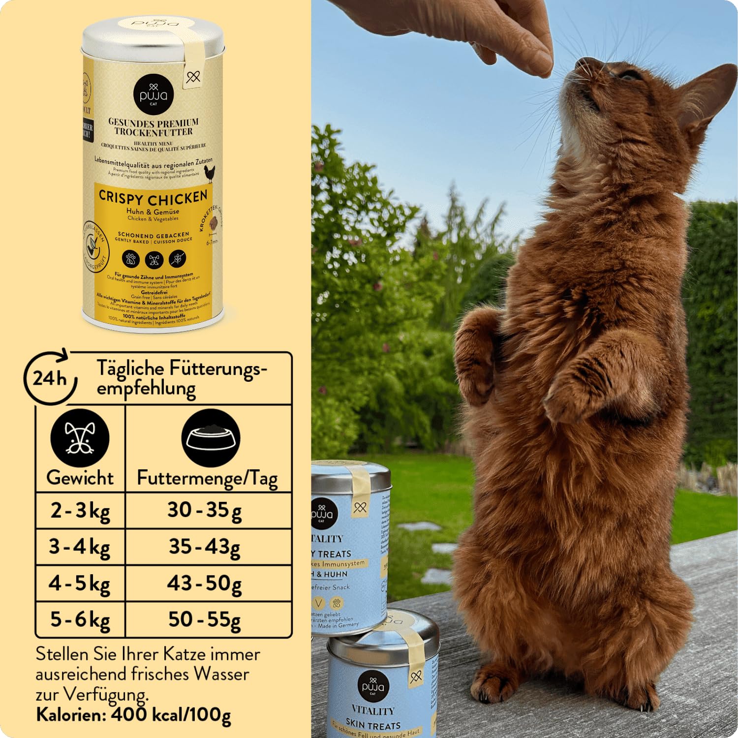 PUJA Premium Trockenfutter für Katzen Crispy Chicken 2x250g - 100% natürliche Inhaltsstoffe & für Sensible Katzen geeignet - mit Tierärzten entwickelt für die Gesundheit