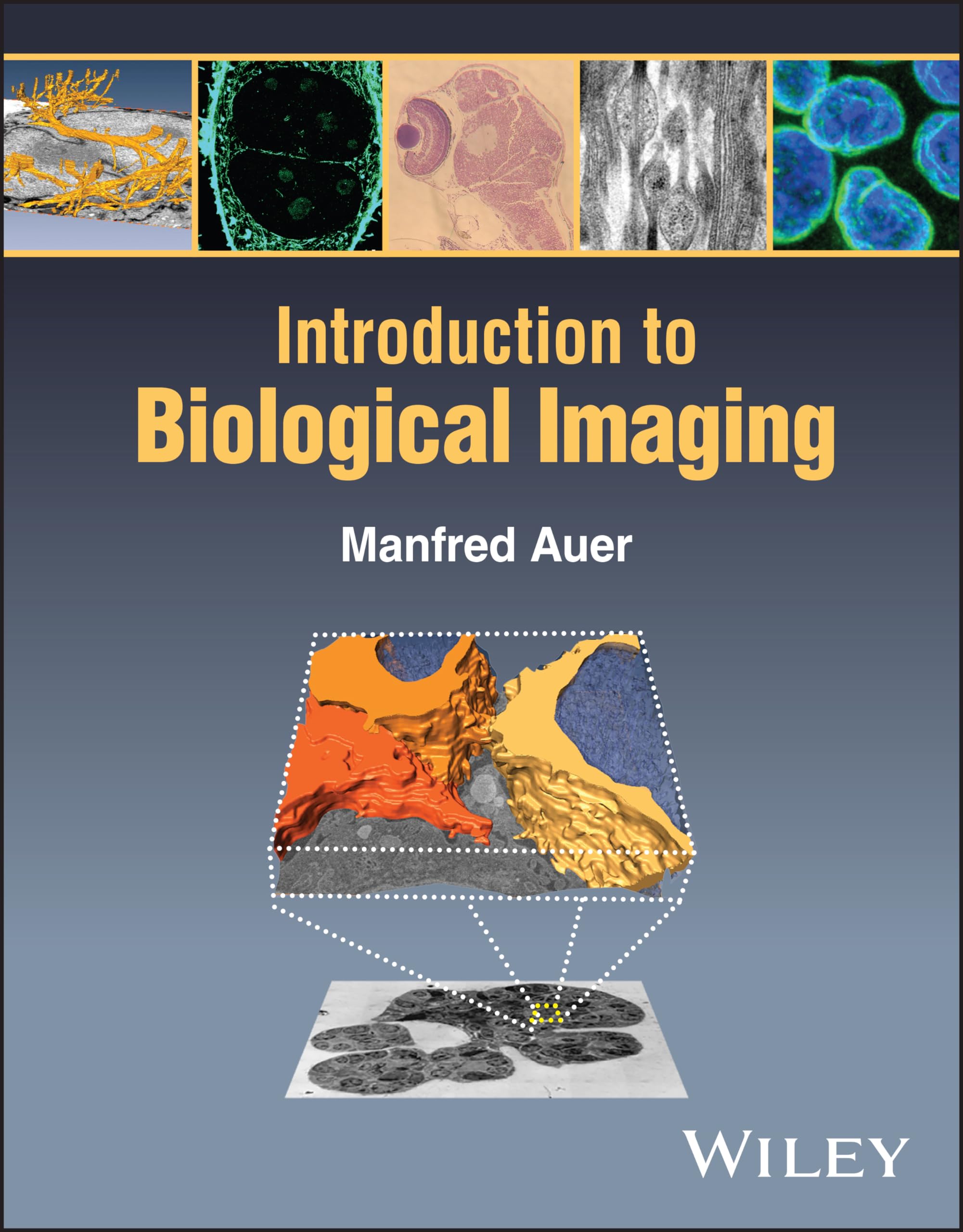 Introduction to Biological Imaging, Auer New 9781119705949 Fast Free Shipping^+