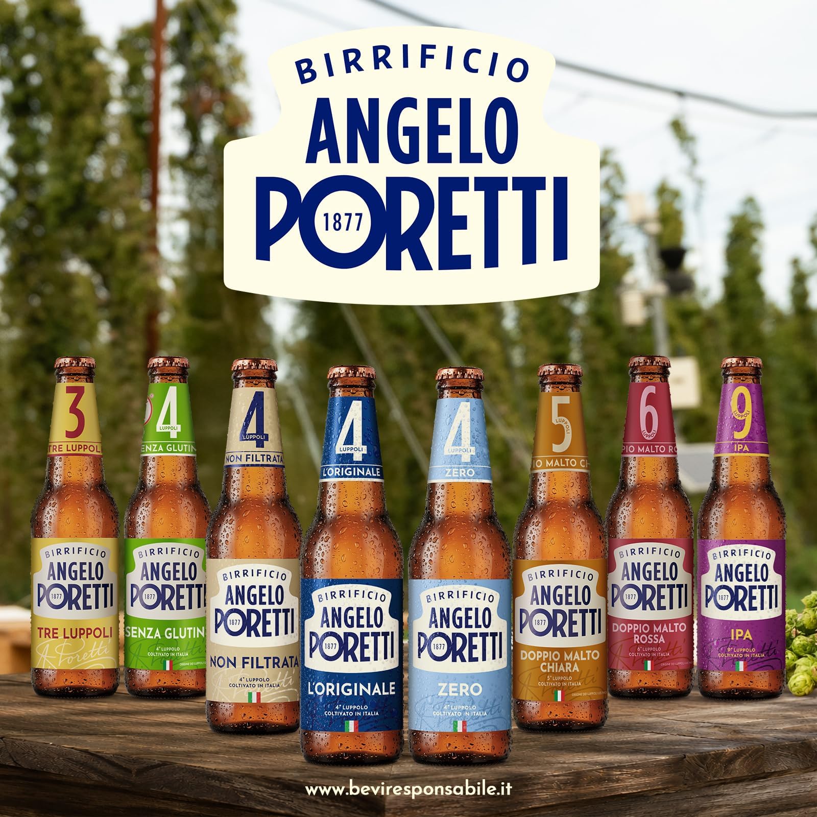 Birrificio Angelo Poretti Birra 5 Luppoli Doppio Malto Chiara, Cassa con 24 Bottiglie da 33cl, Birra Bock Doppio Malto Chiara, Gusto Maltato e Fruttato, Gradazione Alcolica 6.5% Vol.