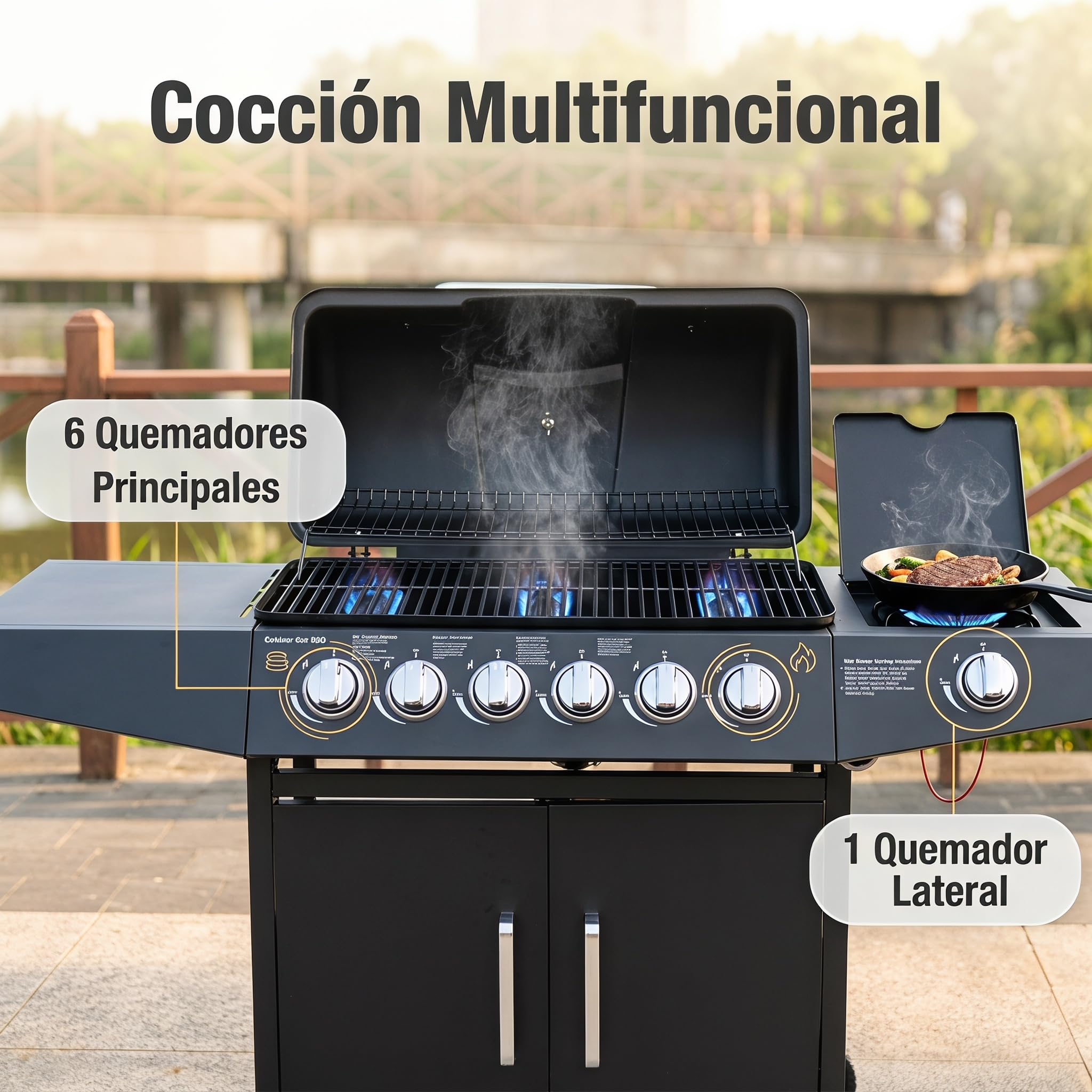 Barbacoa de gas para exteriores 6 + 1 quemador