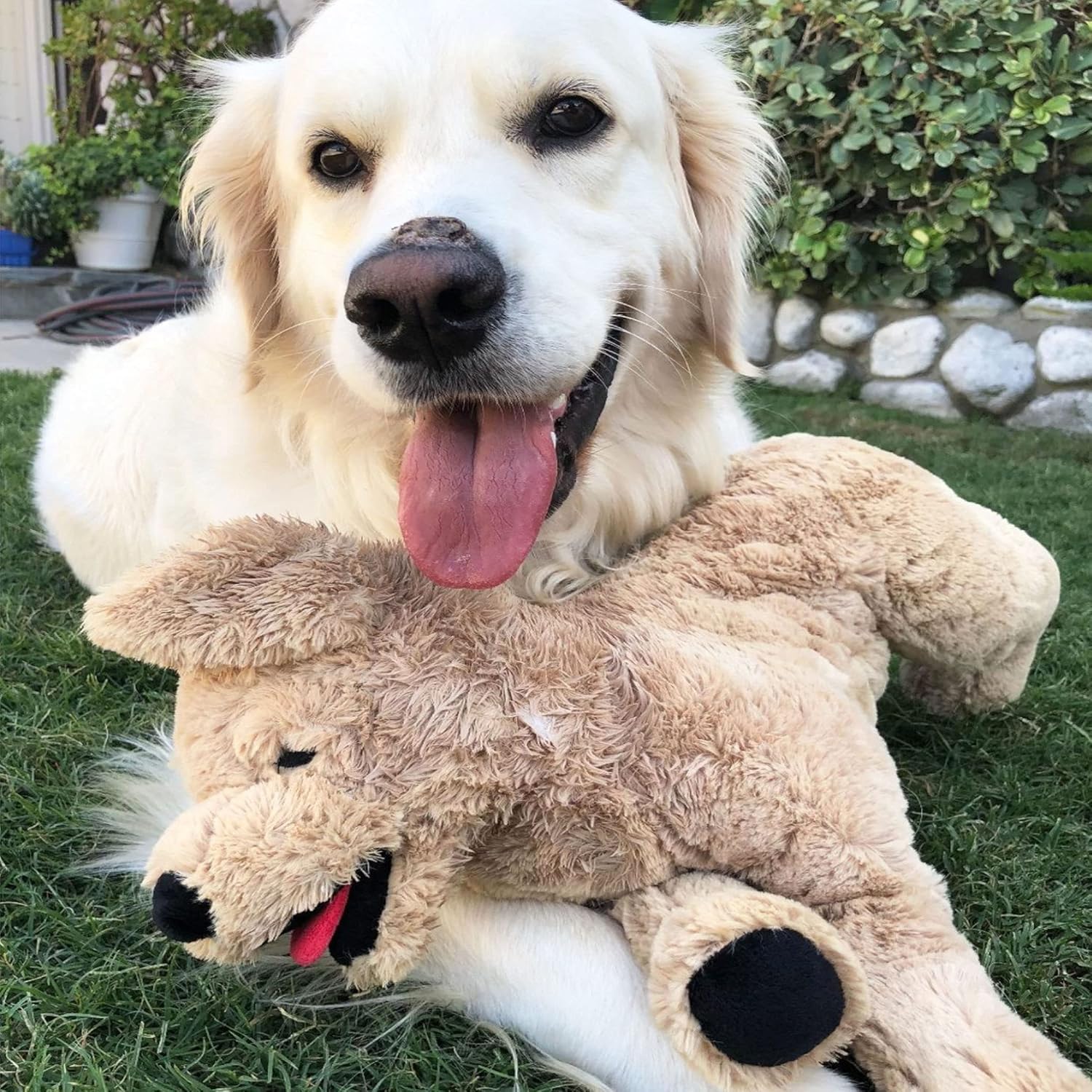 LotFancy Peluche Chien Golden Retriever Réaliste Douce Marron Clair, 52cm | Cadeau Parfait pour Les Amies Enfants Copines au Saint-Valentin FR helpe Anniversaire ou d'autres Fêtes