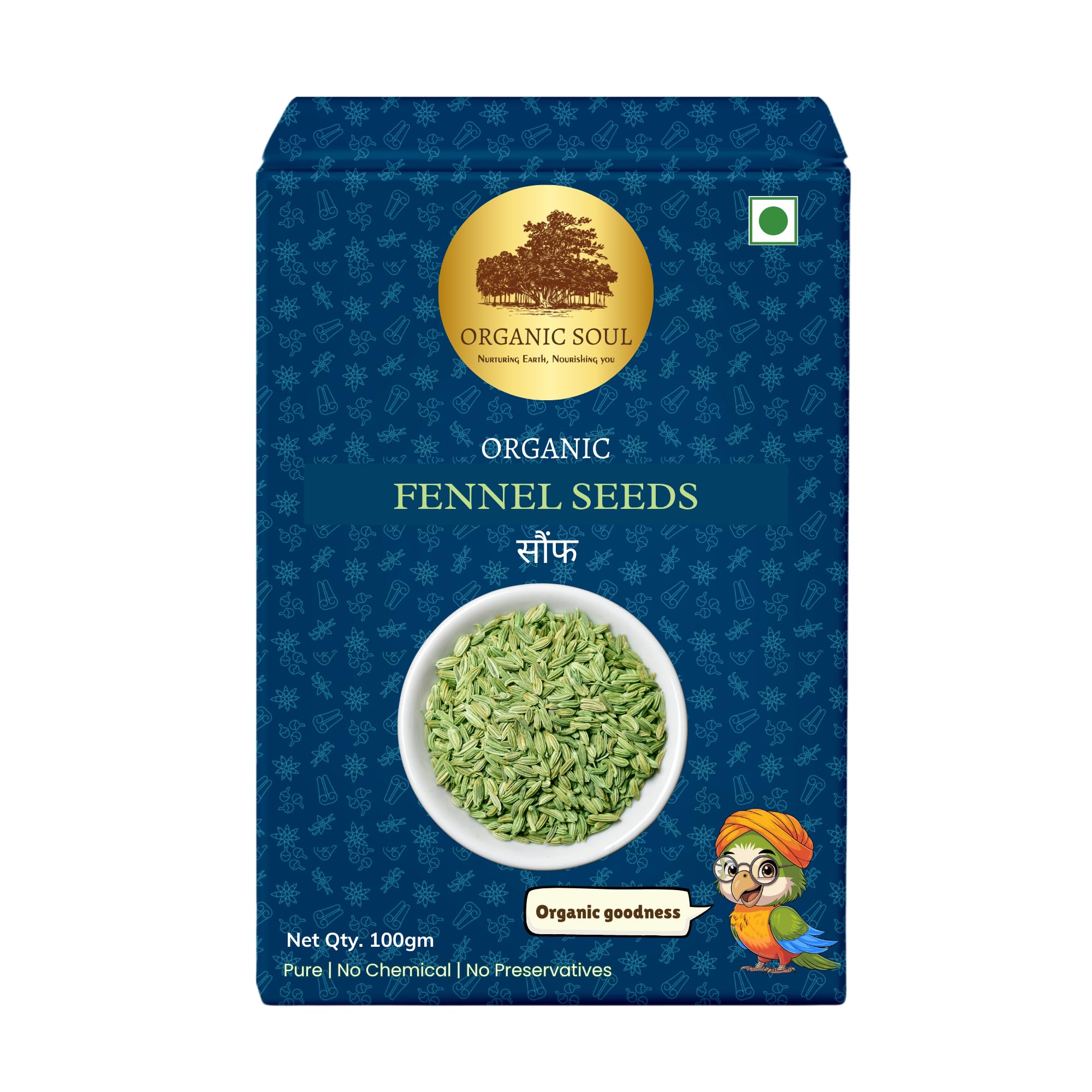 Organic Soul Fennel Seeds Whole 100g (Sabut Saunf | Variyali) Small | Edible Sonf | Aniseed seeds | NPOP Certified I Organic Ceritfied