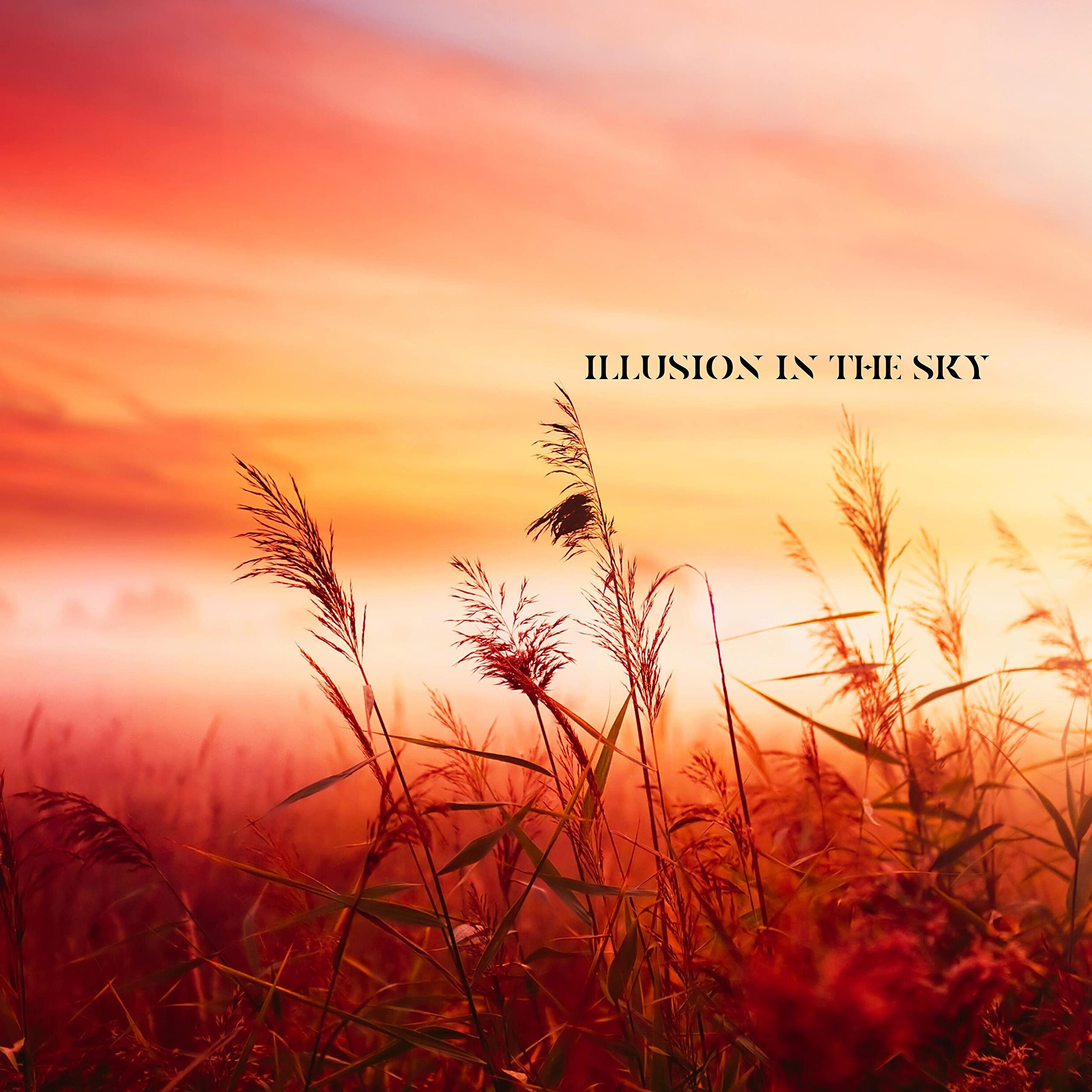 Illusion In The Sky
