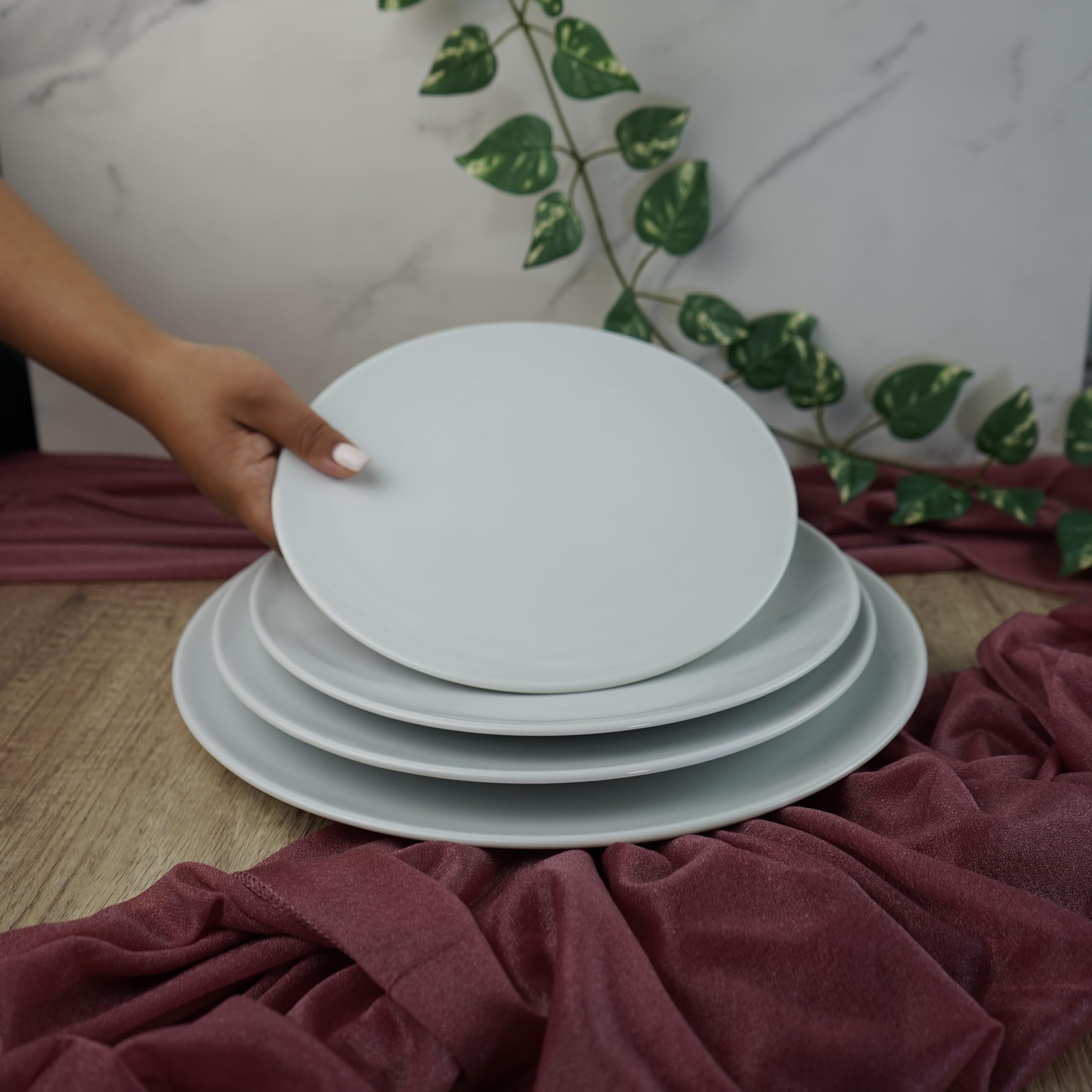 summa Pack de 6 platos llanos coupe blancos - 28cm - Colección Alba - Platos de Porcelana de altas prestaciones - Diseño elegante - Uso en casa y restaurantes