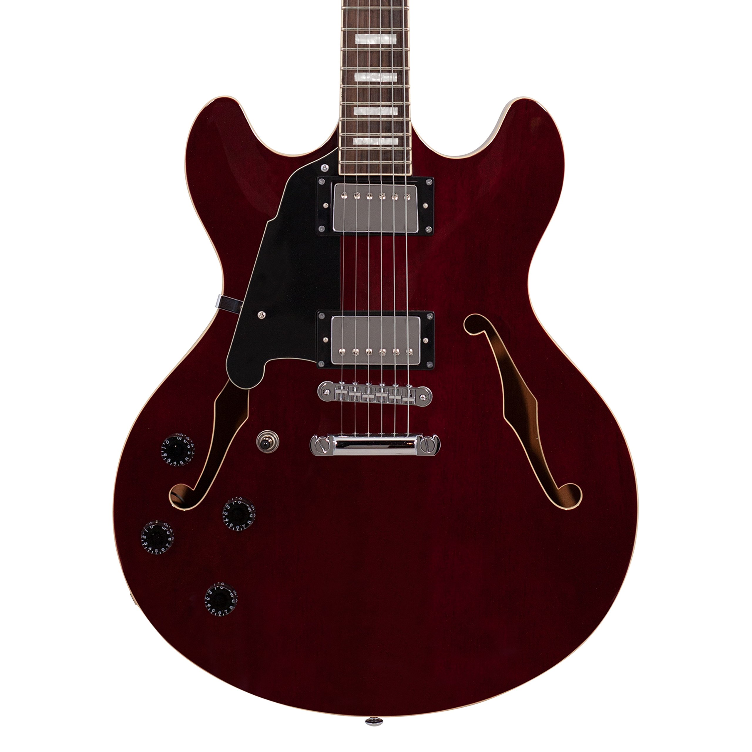 Amazon.com: D'Angelico Premier DC Semi-Hollow Lefty Guitarra