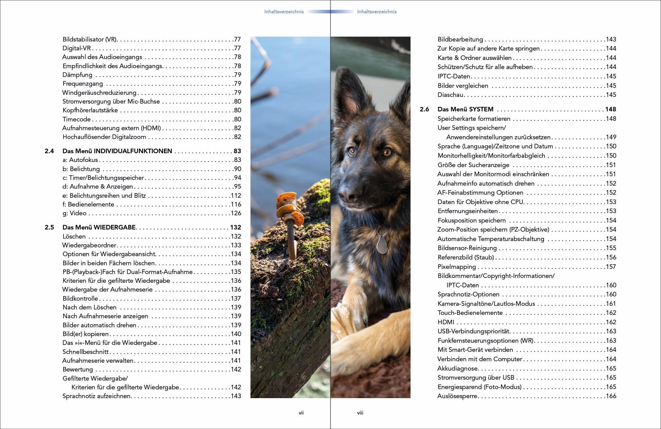 Nikon Z6III: Das Handbuch zur Kamera (dpunkt.kamerabuch)