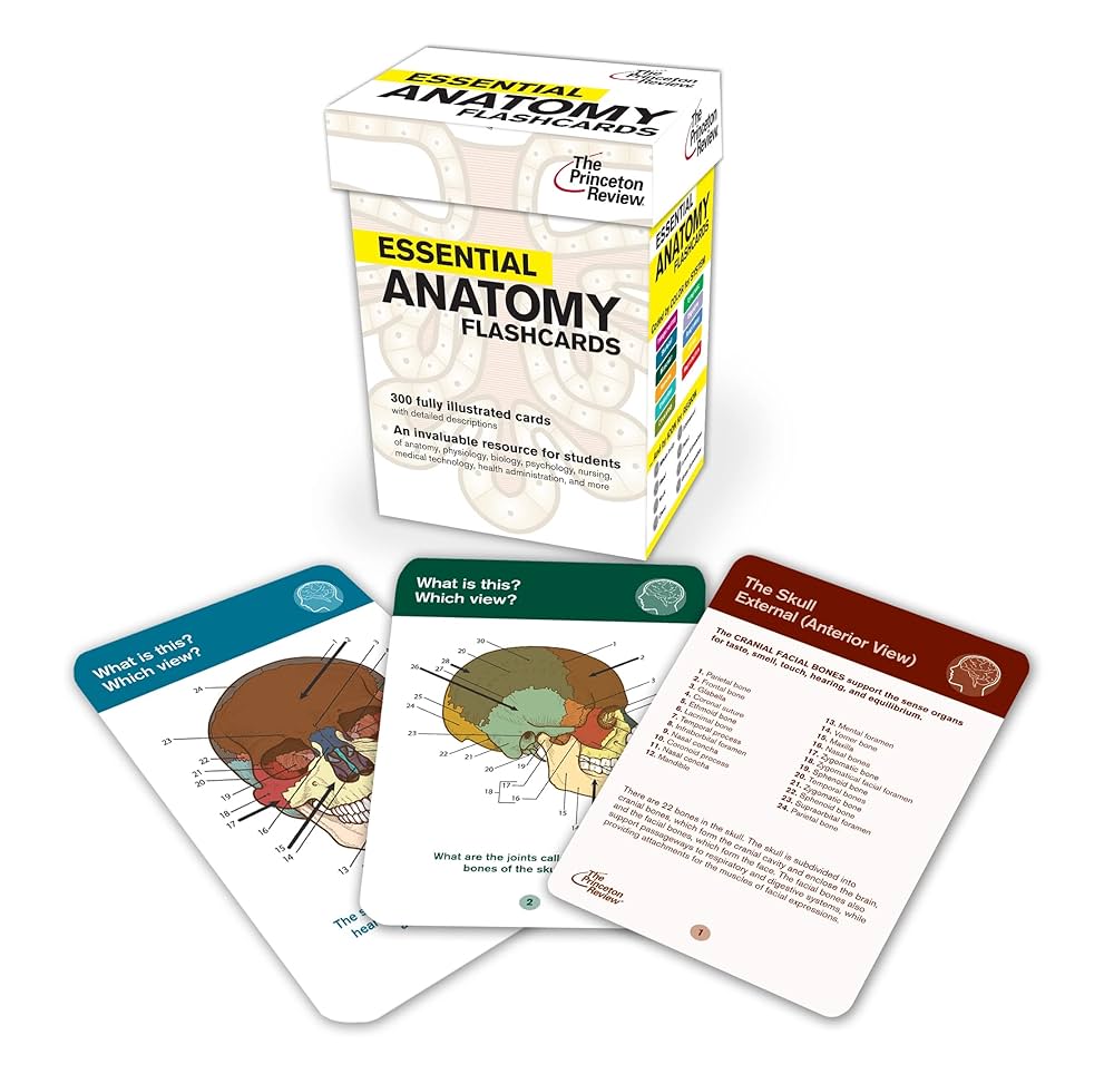 essential-anatomy-flashcards-graduate-school-test-preparation-9780375427596-medicine-health-science-books-amazon-com for Free Printable Anatomy And Physiology Flashcards Essential Anatomy Flashcards (Graduate School Test Preparation): 9780375427596: Medicine & Health Science Books @ Amazon.com for Free Printable Anatomy And Physiology Flashcards