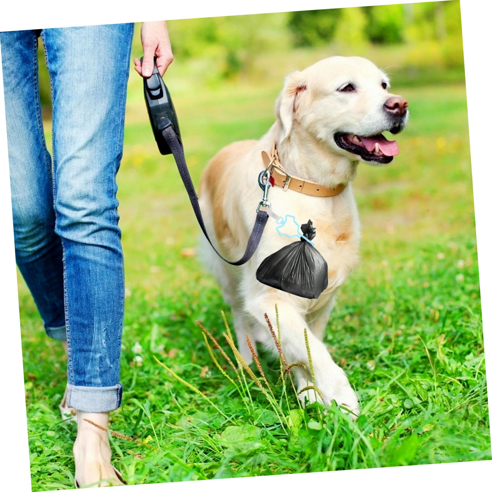 Gatuida 5 pièces Support de Sacs à Déjections Canines Sans Utilisation des Mains Lot de Pinces Légères pour Laisse de Chien Distributeur et Facile à Utiliser Couleurs Assorties Rouge Bleu