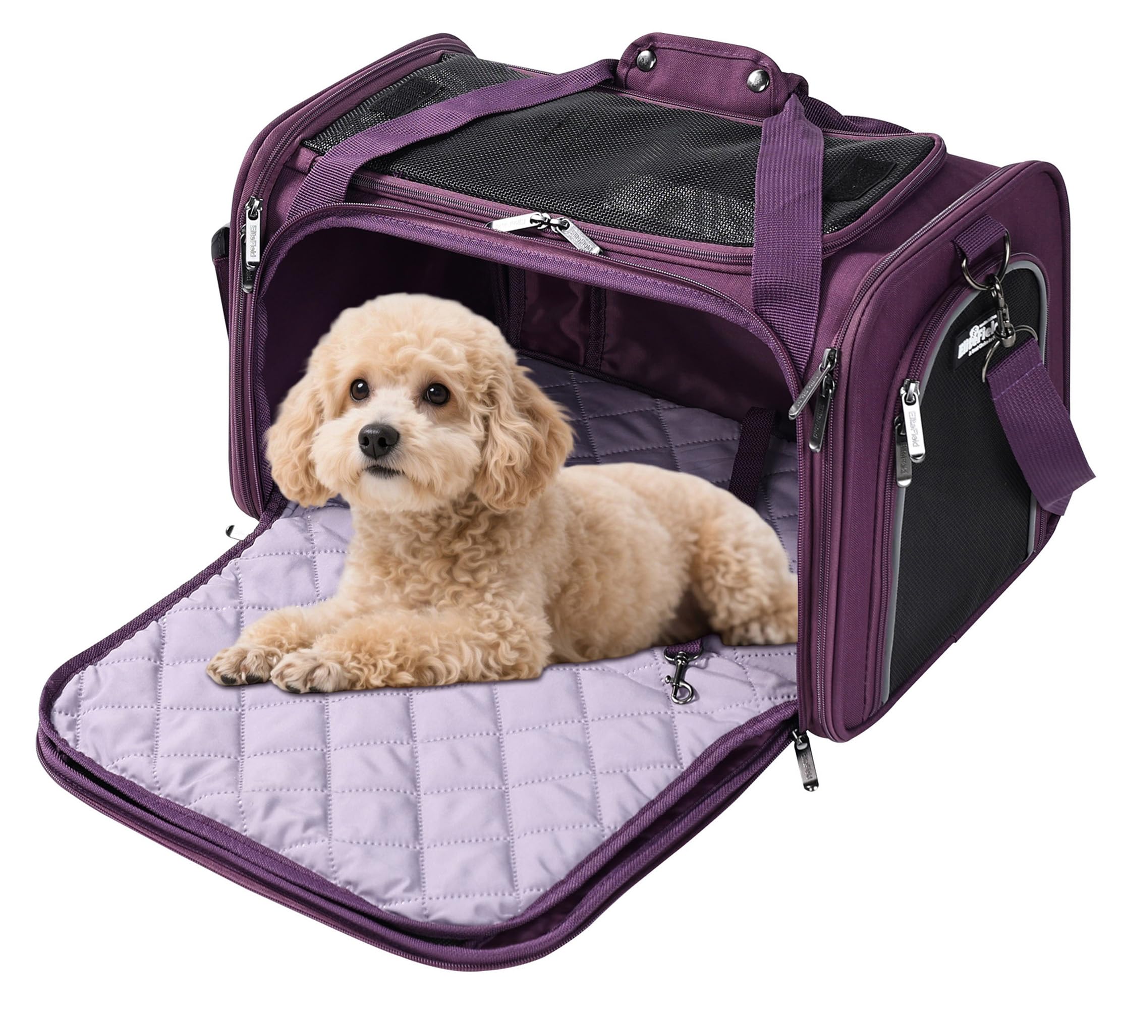 EliteField Deluxe Soft-Sided Pet Carrier (3 Year Warranty, Airline Approved), Travel Bag for Dogs, Cats & Small Pets, with Expandable Mat
