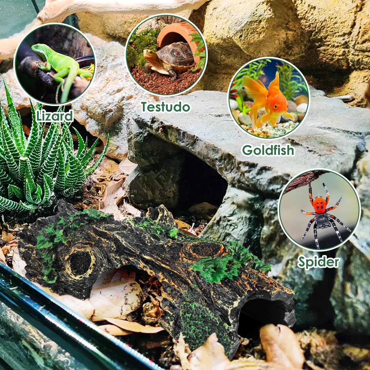 Set 6 Grotte In Resina Per Acquario – Tronchi Cavi E Nascondigli Per Pesci – Design Realistico Muschio – Per Betta, Gamberetti E Rettili
