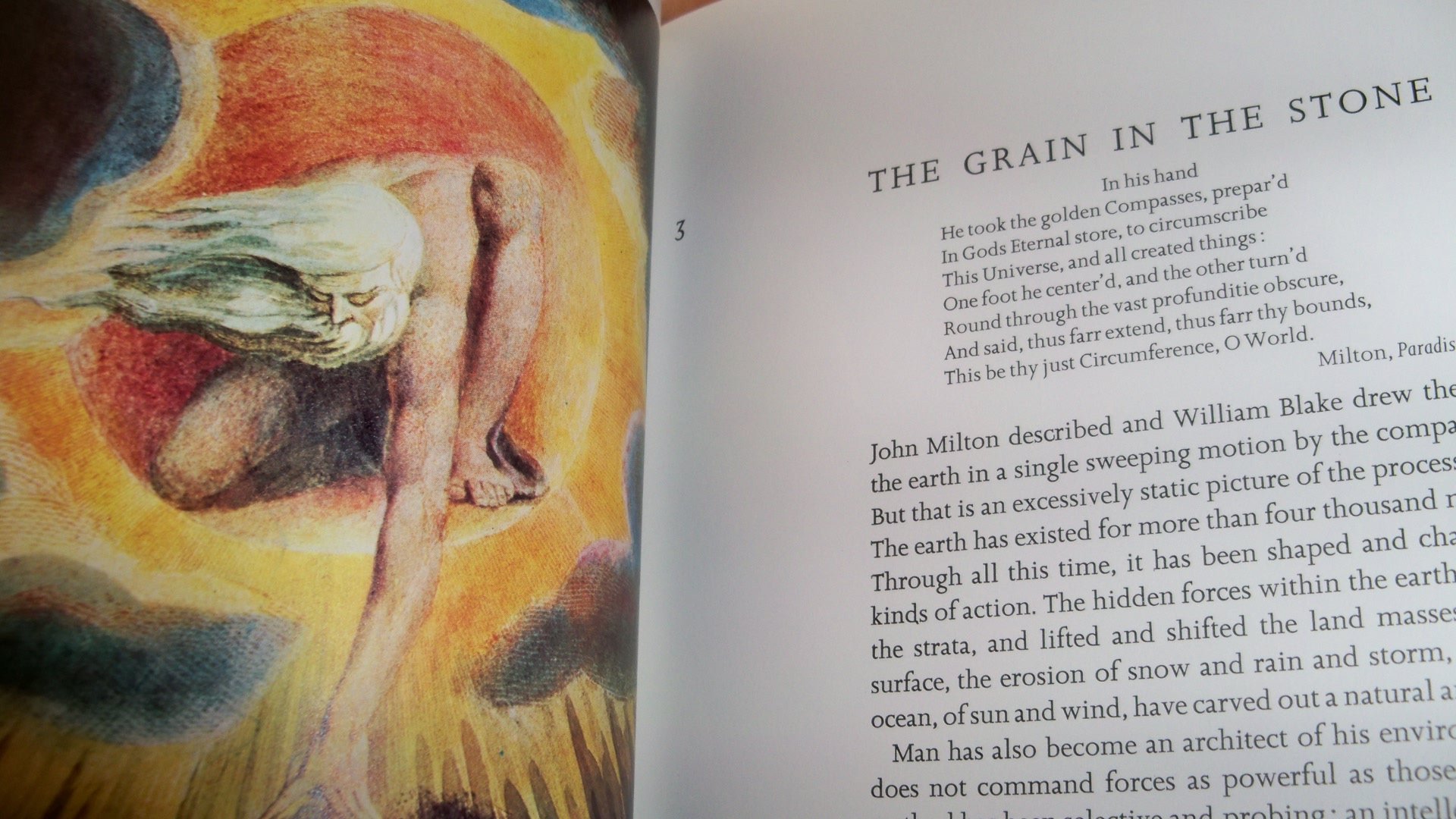 THE ASCENT ON MAN - Image 3