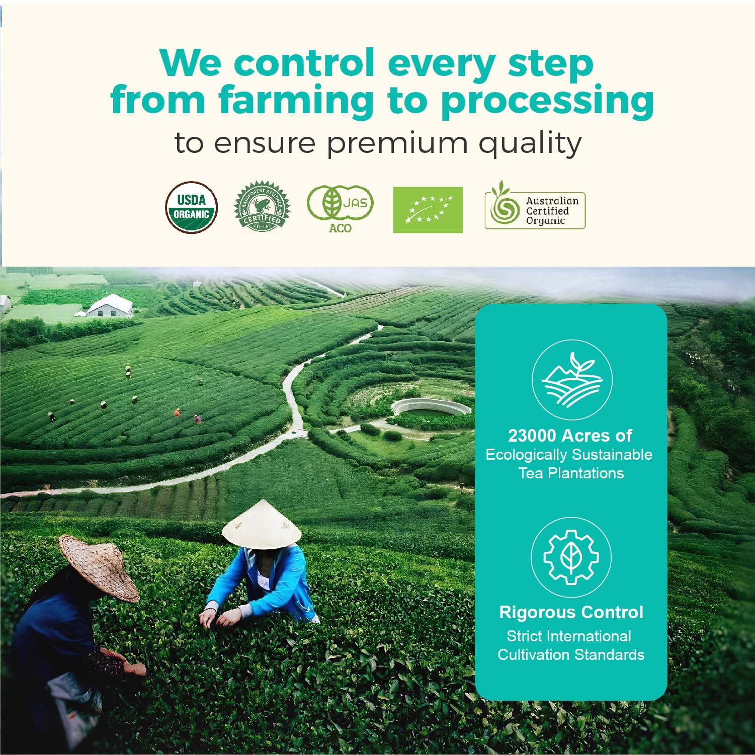 Emerail Organic Ceremonial Grade Matcha Premium First Harvest Matcha Green Tea Powder 100 Pure USDA-Certified Sugar-Free Gluten-Free Vegan — view 6