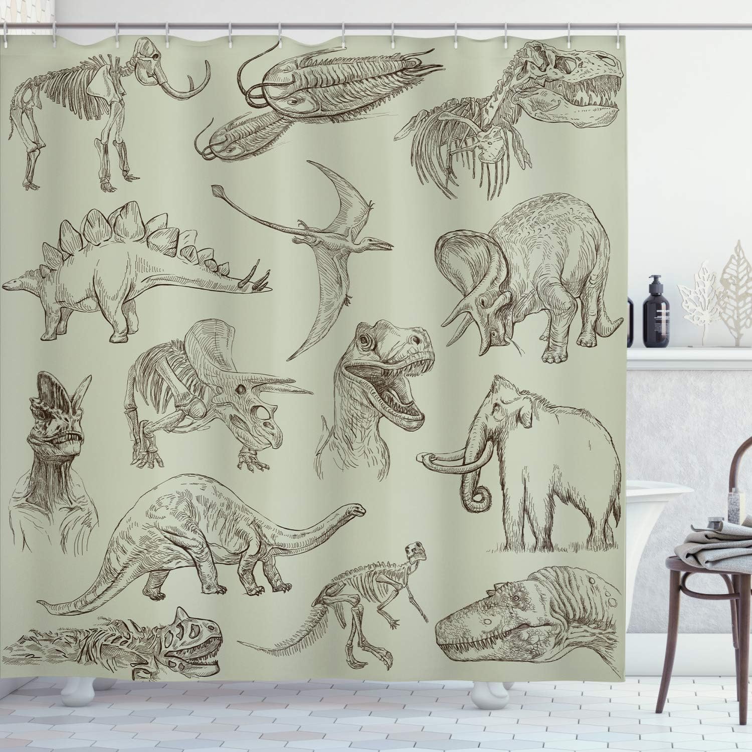 Ambesonne Jurassic Shower Curtain, Arrangement of Various Dinosaurs Illustrations Skeleton Biology Historic, Cloth Fabric Bathroom Decor Set with Hooks, 69" W x 70" L, Light Grey