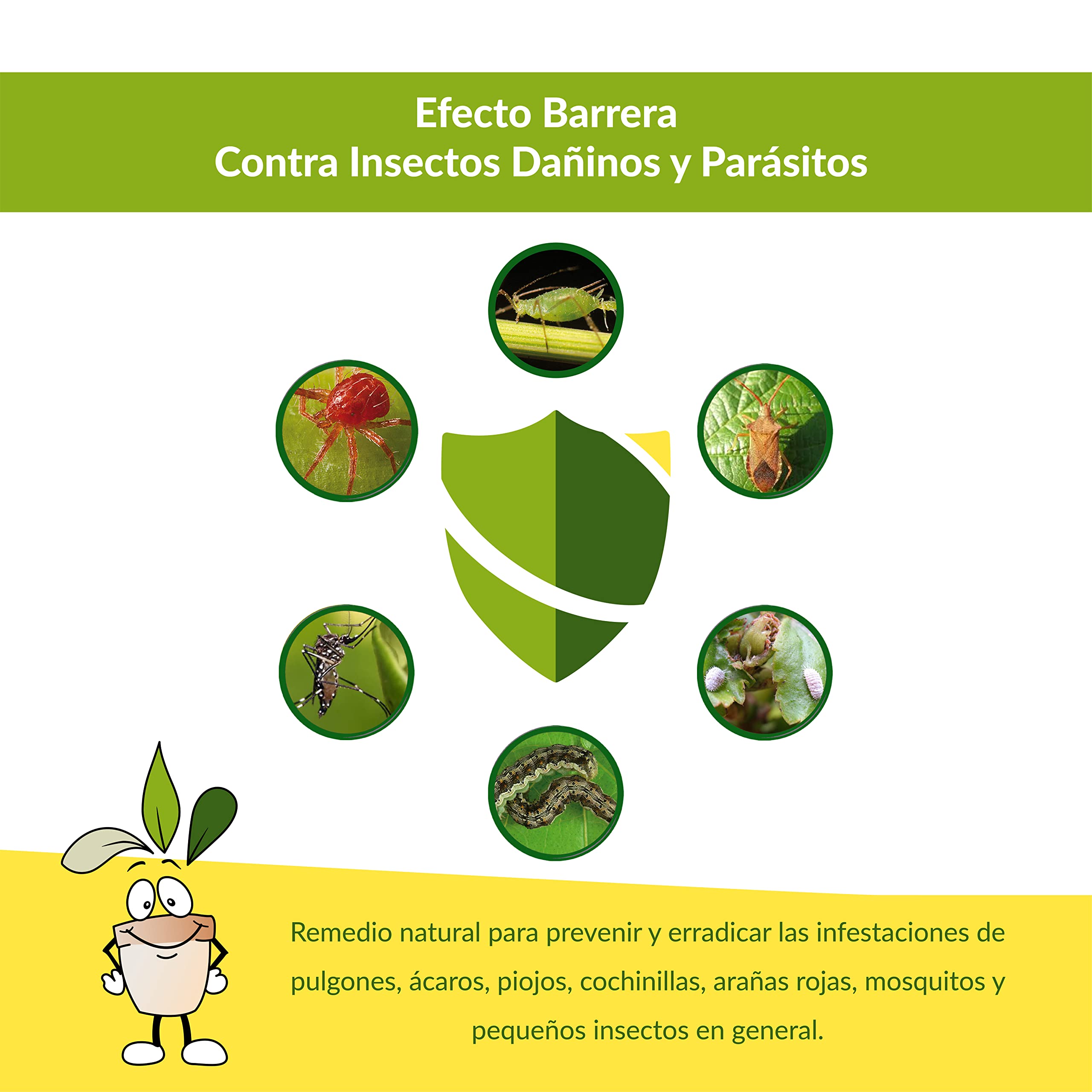 CLOSTER Spray de Aceite de Neem - Insecticida Natural para Plantas en Jardín Balcón contra Pulgones Chinches Ácaros Araña Cochinilla, Desinfestante Biodegradable Ecológico Spray 500ML Listo para Usar