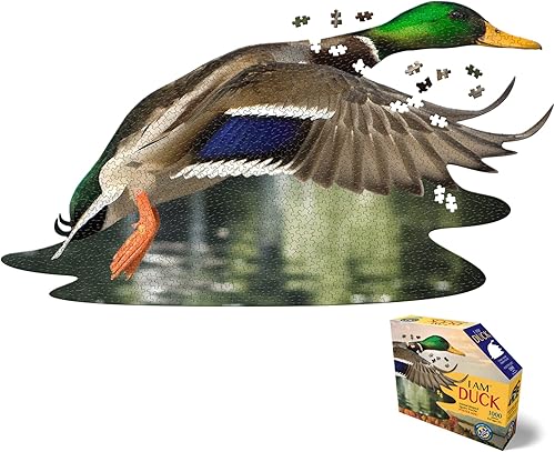 Madd Capp Pato - Rompecabezas de 1000 piezas para edades de 12 a 7001, borde de forma única, tamaño de póster, corte aleatorio desafiante, caja de