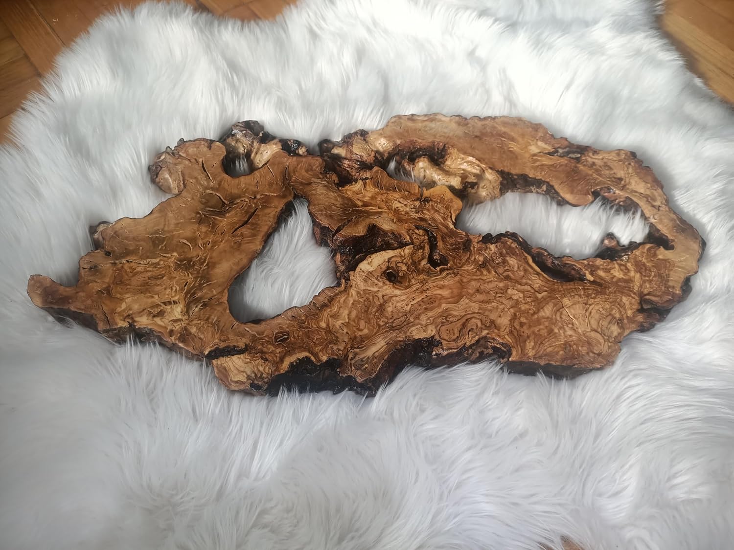 Live Edge Olive Root Slab for DIY and Epoxy Table, Ready to be Resin Table, Cleared Wood Slab for Epoxy Resin Wood, Burl Wood (16X20)