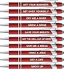 10pcs Creative Quotes Gift Pen Every Pen Has A Different Quote Fancy Pens Women Office Gifts Office Pranks Stylus Pens for Touch Screens Inspirational Gifts Suitable for Anyone