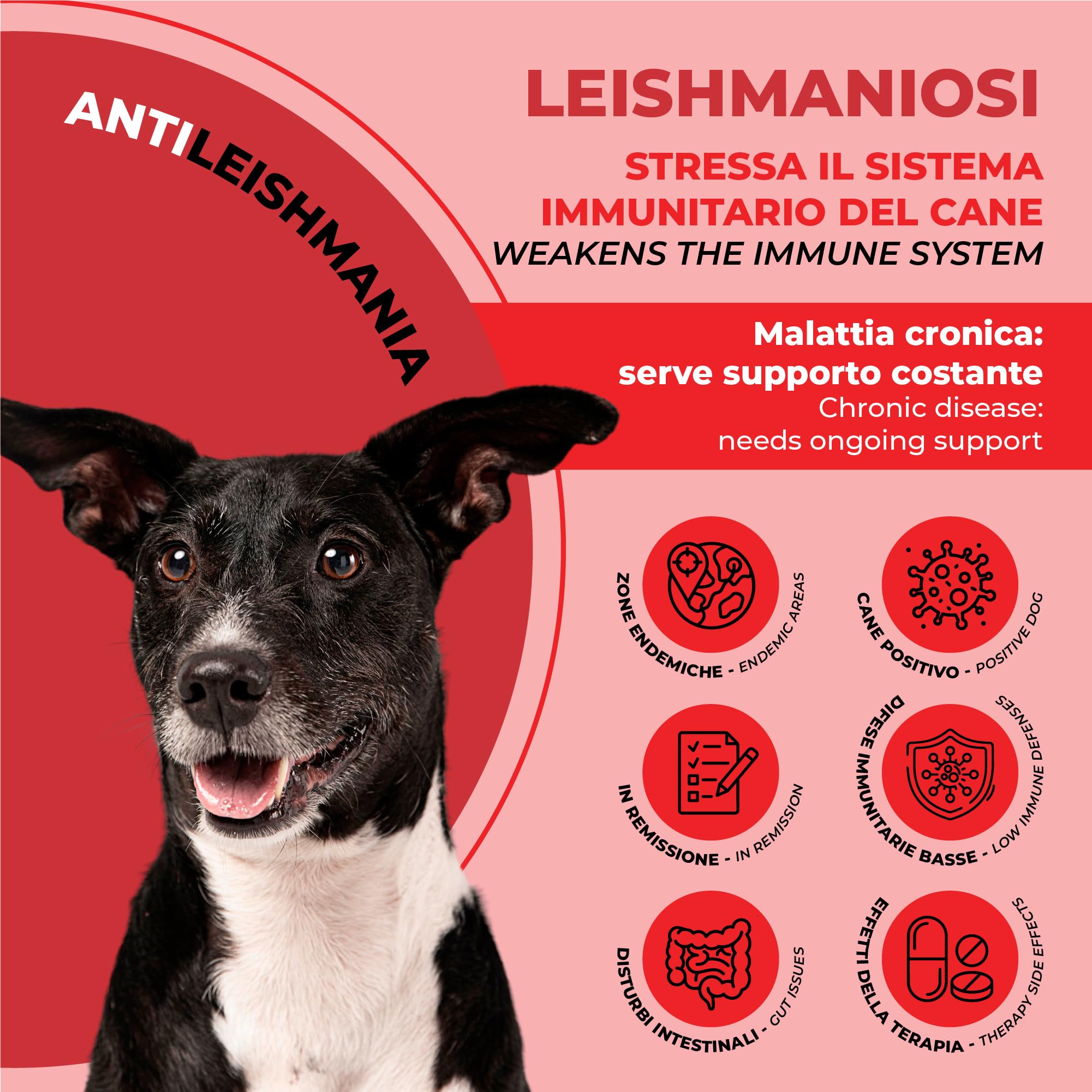 PETCEUTICA Protocollo Anti Leishmaniosi Cane, Integratore Difese Immunitarie, Supporto Sistema Immunitario con Echinacea e Probiotici, Made in Italy