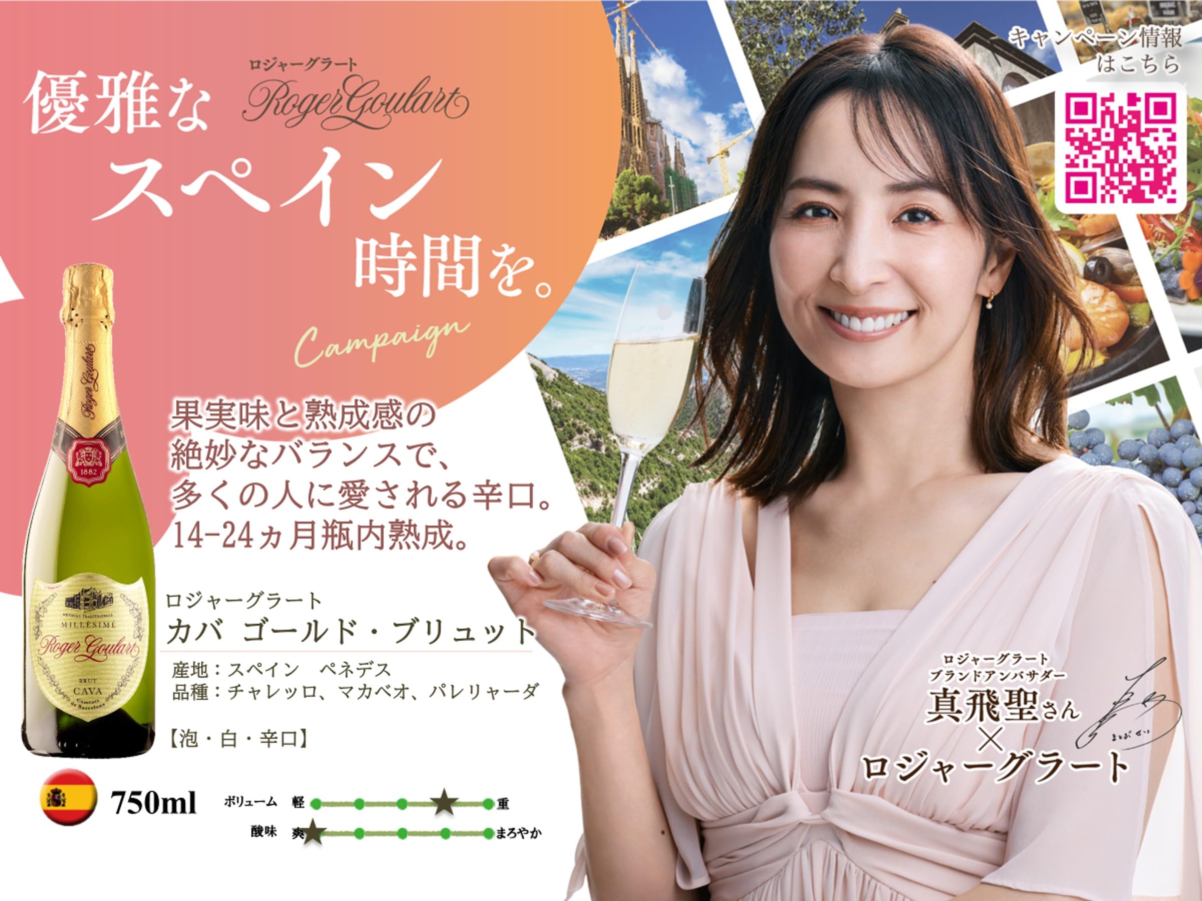 Demiilly de Baere ゴールド ブリュット シャンパン Amazon.co.jp: ロジャーグラート カバ ゴールド ブリュット レセルバ