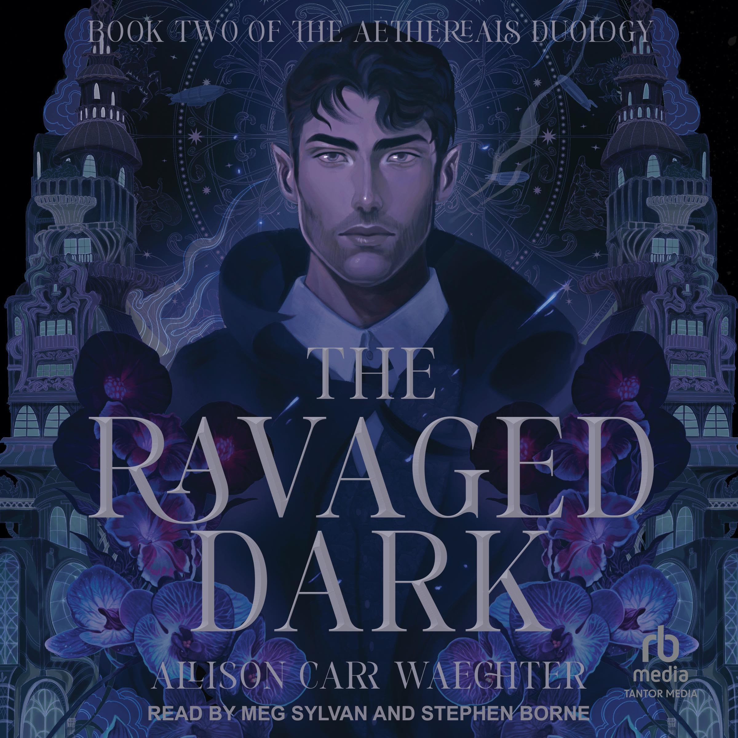Cover art for The Ravaged Dark