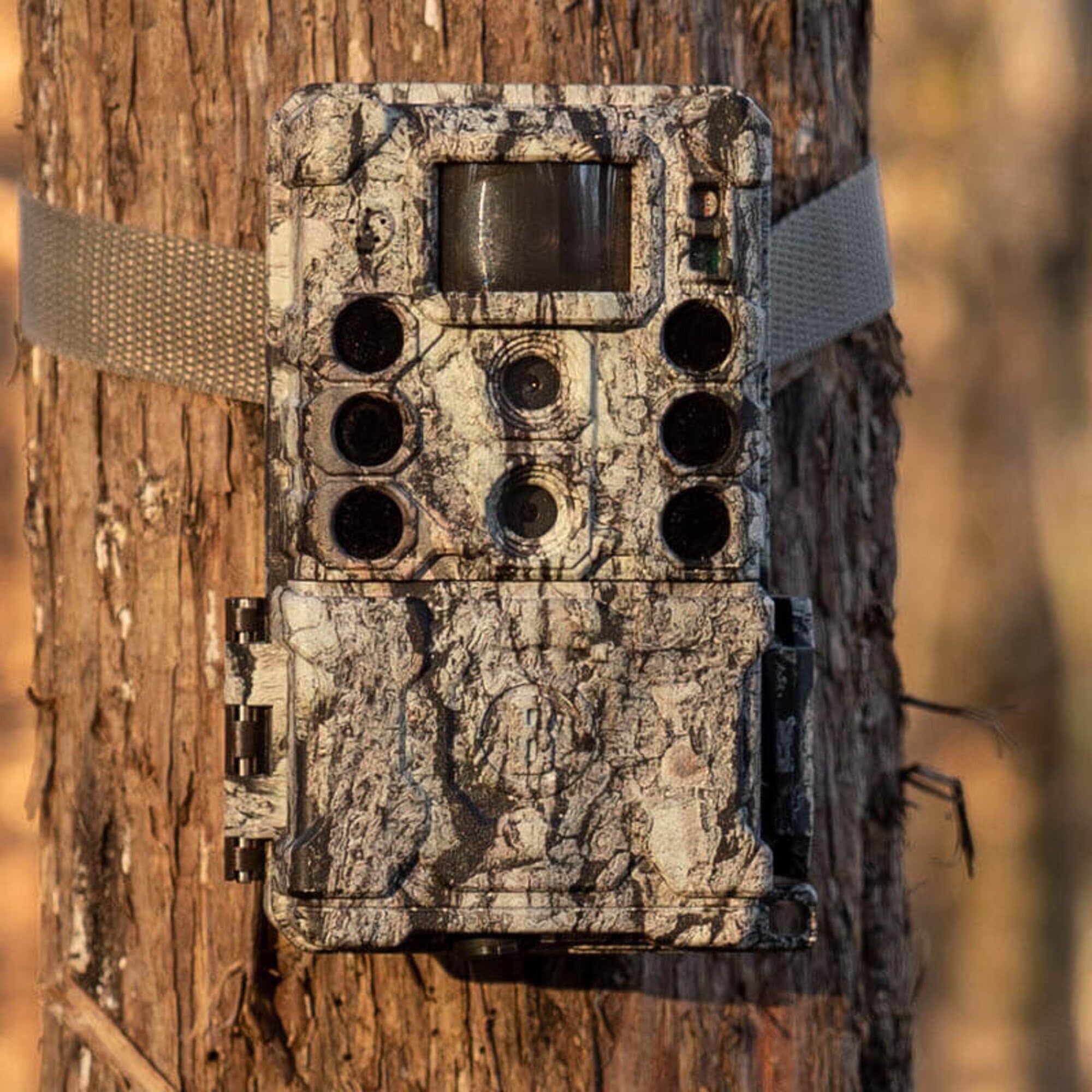 Bushnell - Trail-Kamera - Wildkamera - 32MP Dual Core 4K - Tarnfarbe - Kein Glühen - 119987M