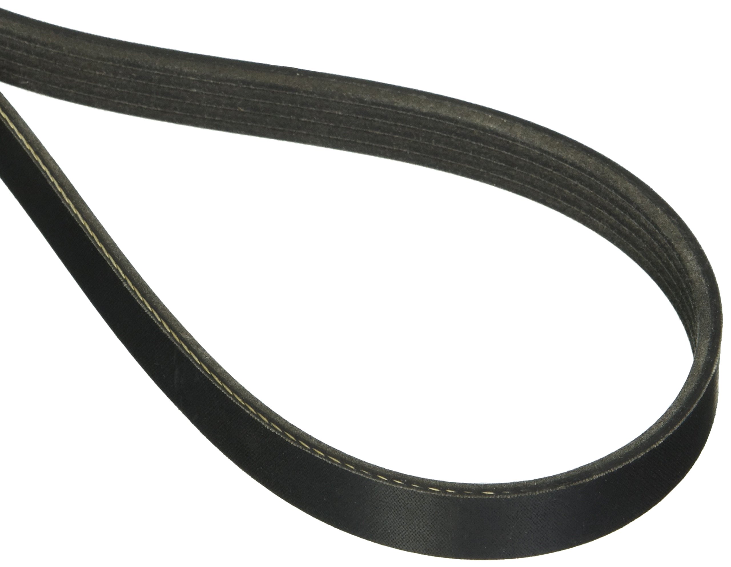 Toyota 99365-91120 Accessory Drive Belt: Buy Online at Best Price