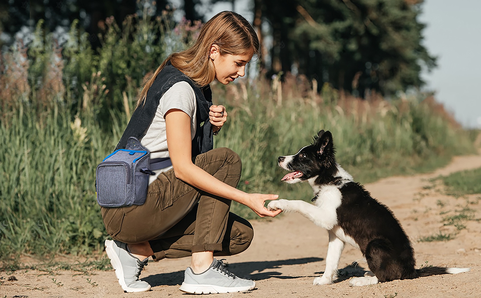 Dispensador Para Heces De Perro +2 Rollos De Bolsas