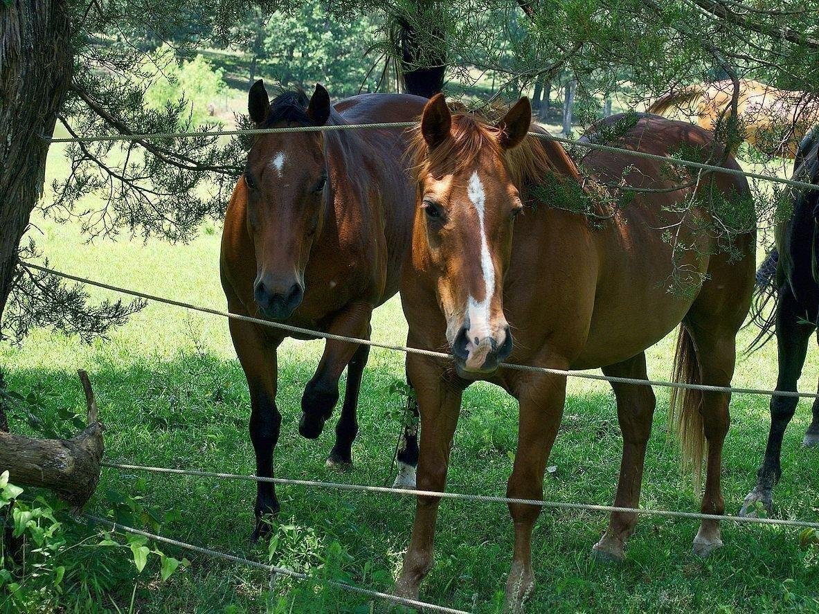 Side By Side With a Full Frame Yields 5 Stars
