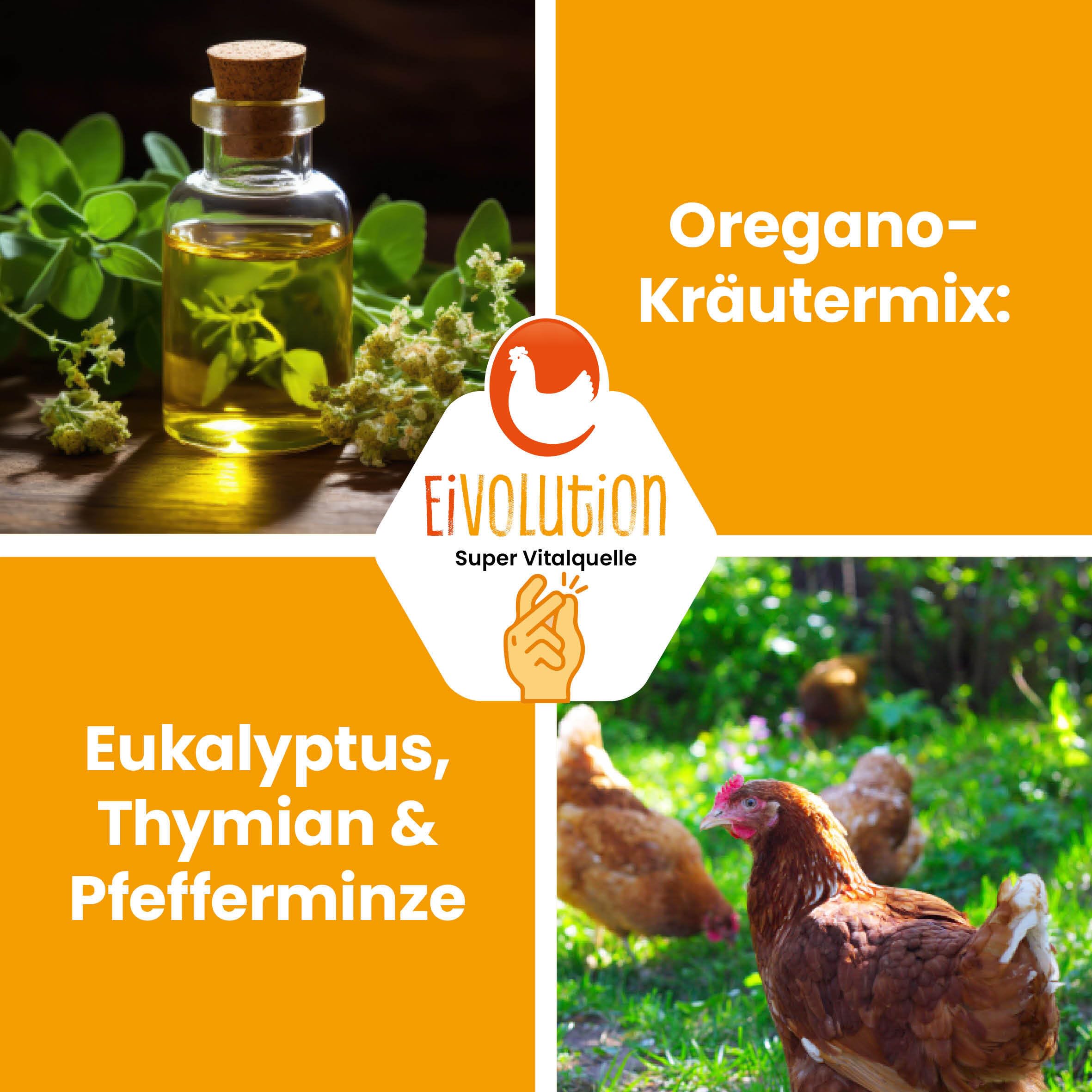 Bio-Hühnerfutter Pellets mit Oregano-Kräutermix 14 kg - Alleinfutter für Legehennen & Geflügel - Reich an Vitalstoffen - Kontrolliert ökologisch