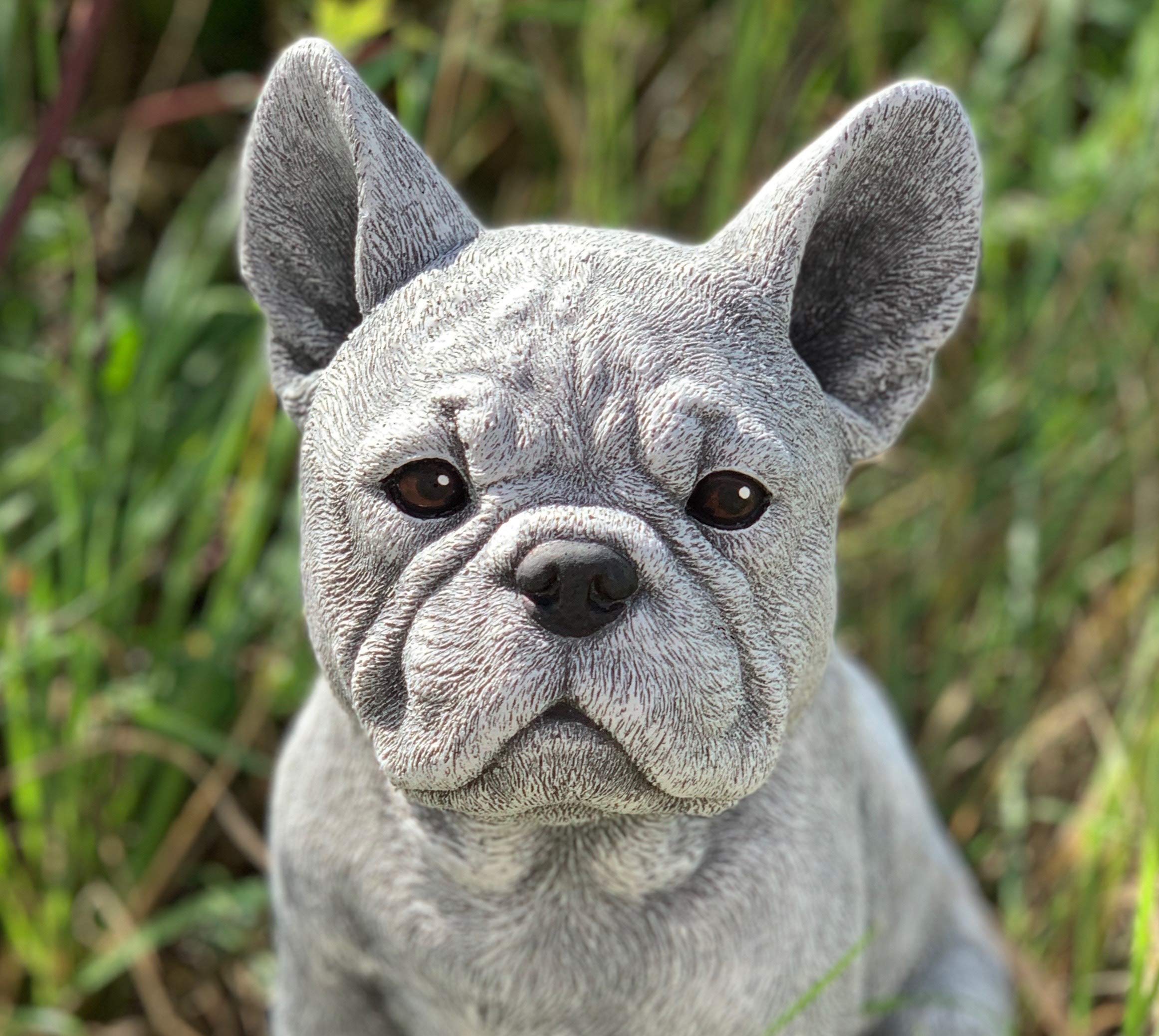 Franse Bulldog tuinbeeld - Tuindecoratie