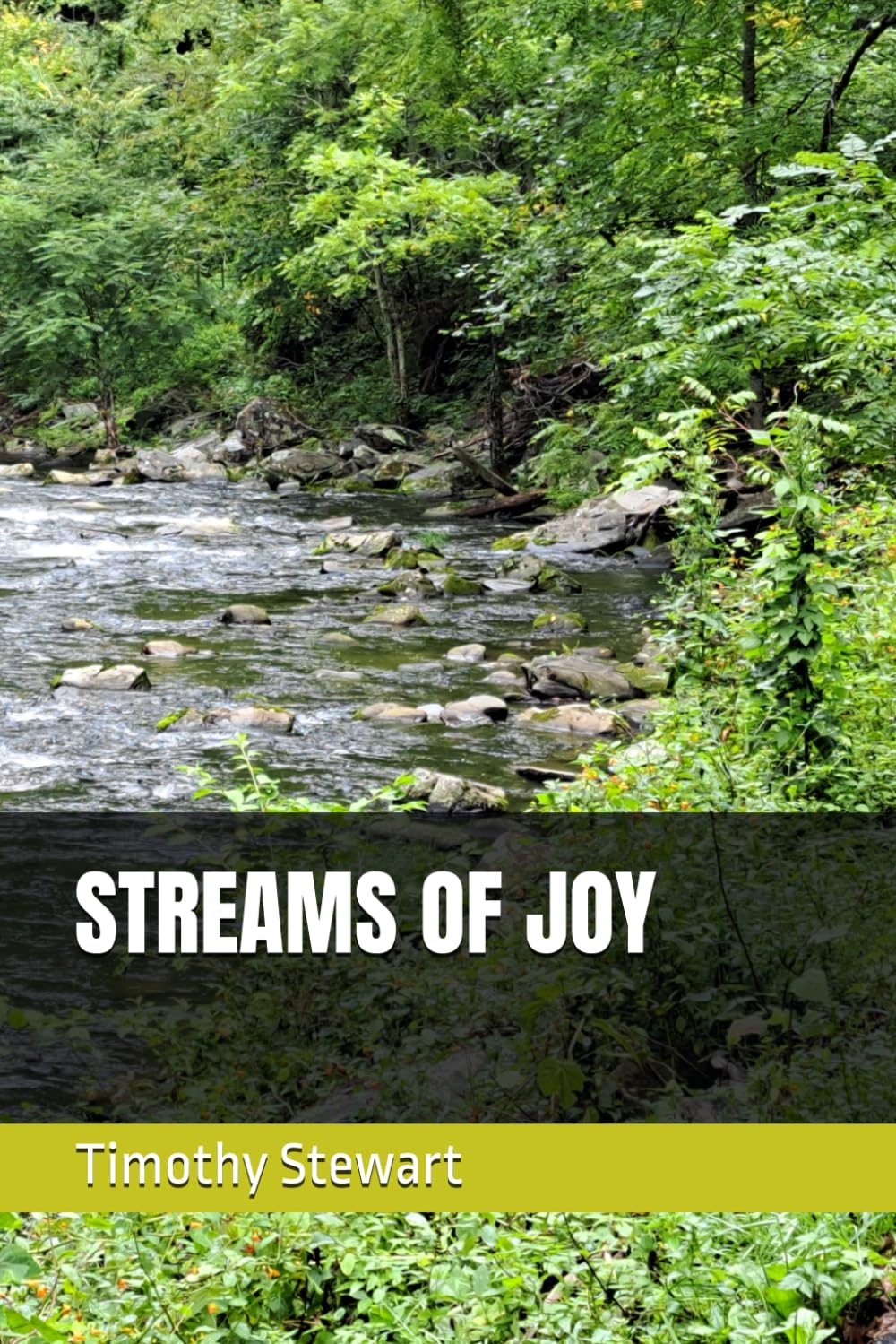 STREAMS OF JOY