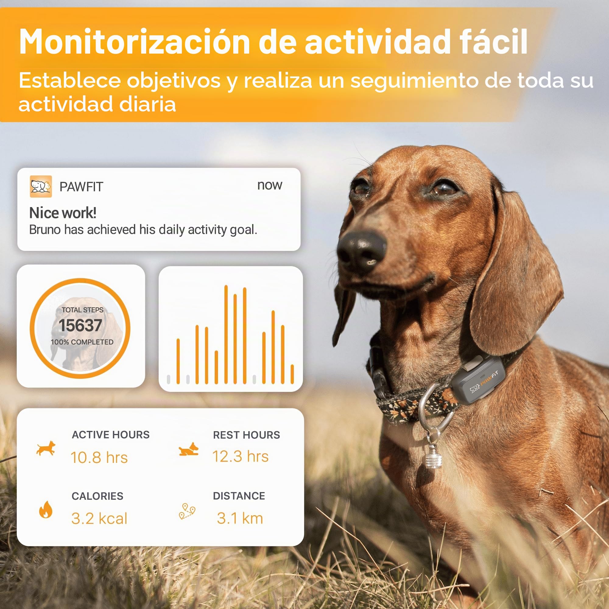 Pawfit Rastreador GPS Lite for Dogs 4g | Monitoreo en tiempo real | Seguimiento de actividad | Historial de ubicaciones | Rango ilimitado | Collar de seguridad incluido|Onyx negro