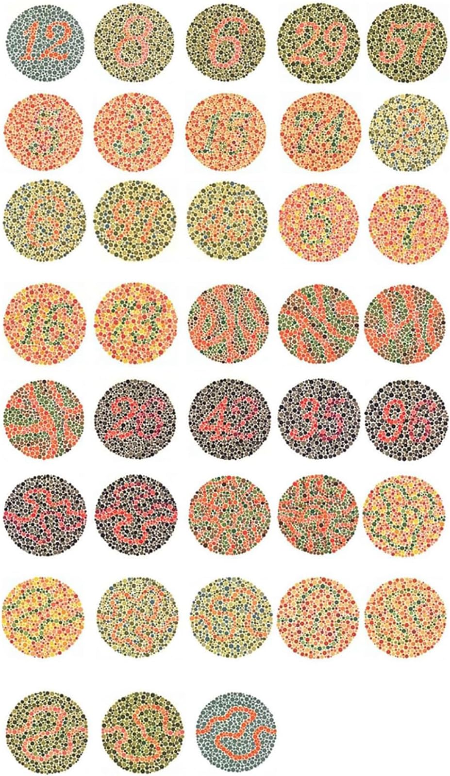 ISHIHARA Color Vision Test Book with 14 Plate with User Manual Occluder