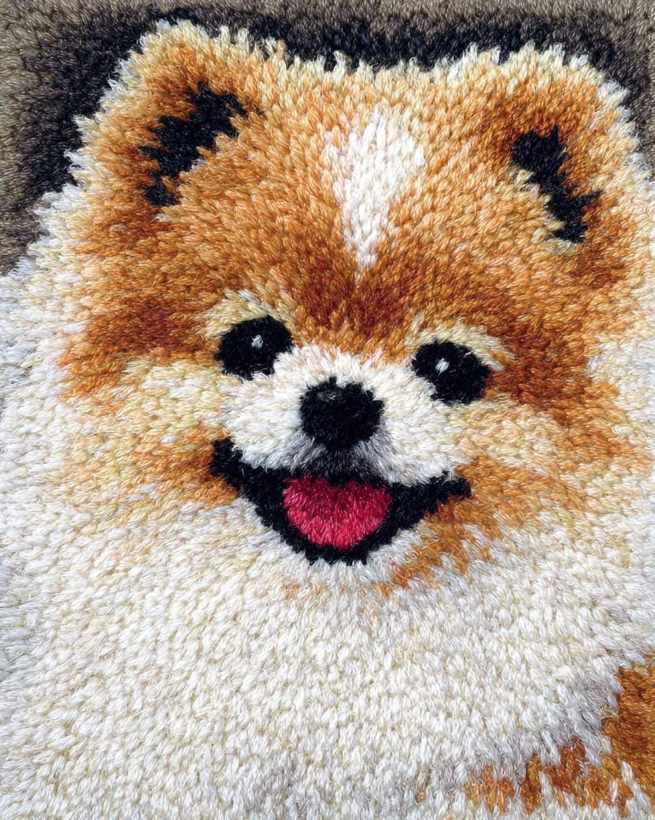 Wallphantom Latch Hook Rug Kits,Happy Pomeranian,DIY Crochet Rug Making Kit for Adults Kids,3D Cross Stitch Carpet Embroidery Needlework Crocheting for Home Decor,60x90cm