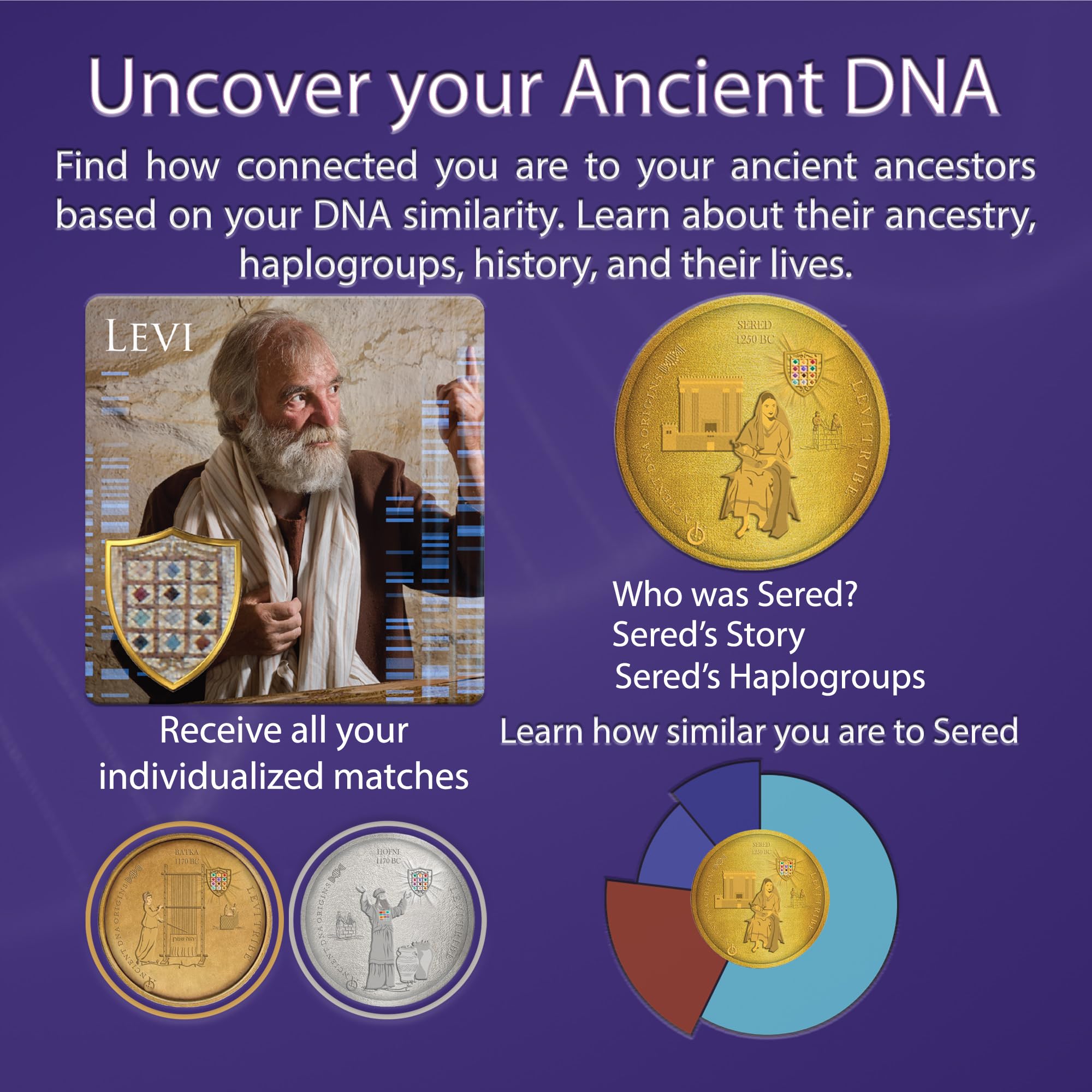 Upload Your Raw Autosomal DNA File & Discover Your Heritage with The Tribes of Israel: Levi Ancestry Test by Ancient DNA Hub | Trace Tribal Roots, Historical Lineage & Ancient Migration |Digital - Image 4