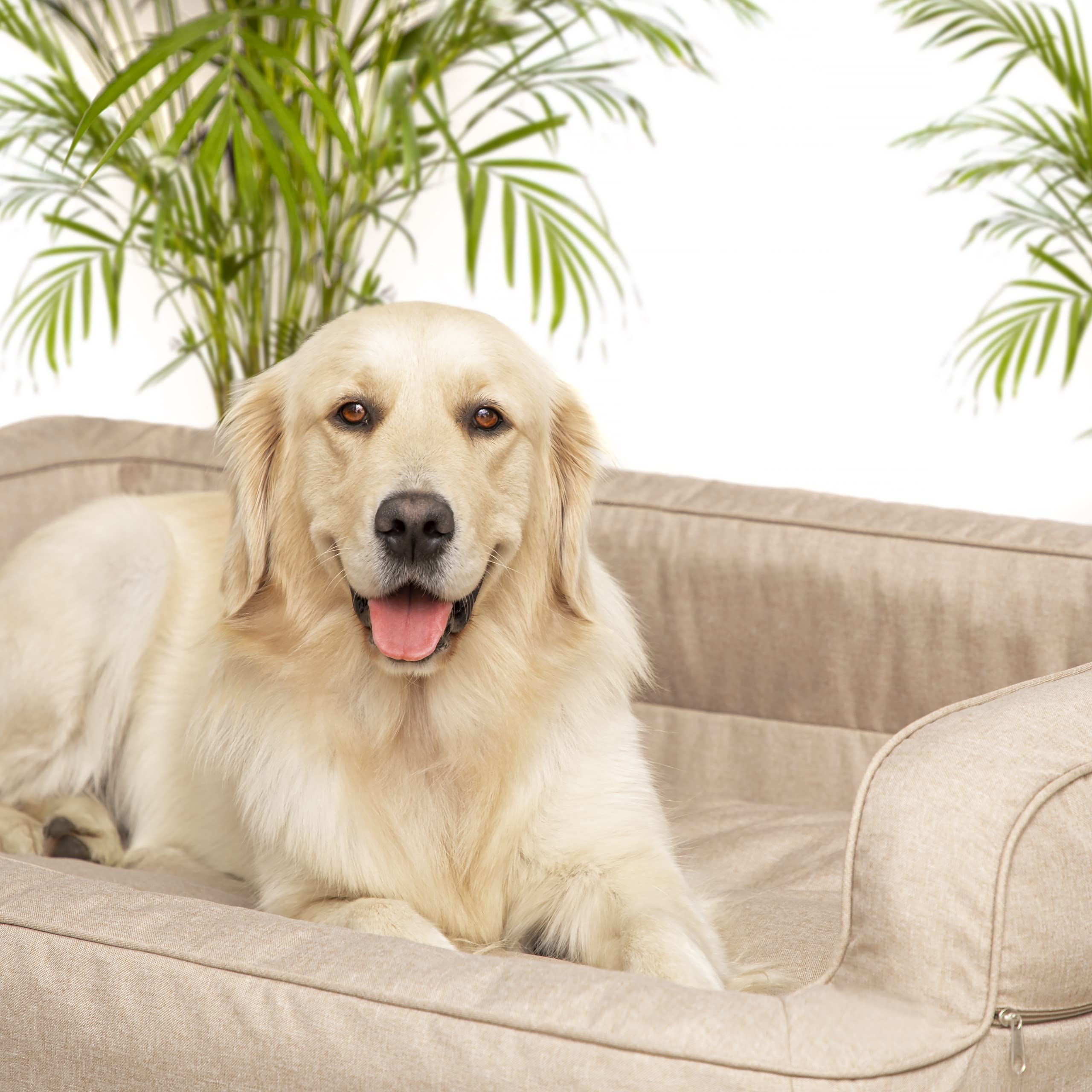 DOGGY Cama Perro - Cama Perro Grande - ombala - sofacamaparaperro - Resistente - L: 96 x 62 cm, Beige