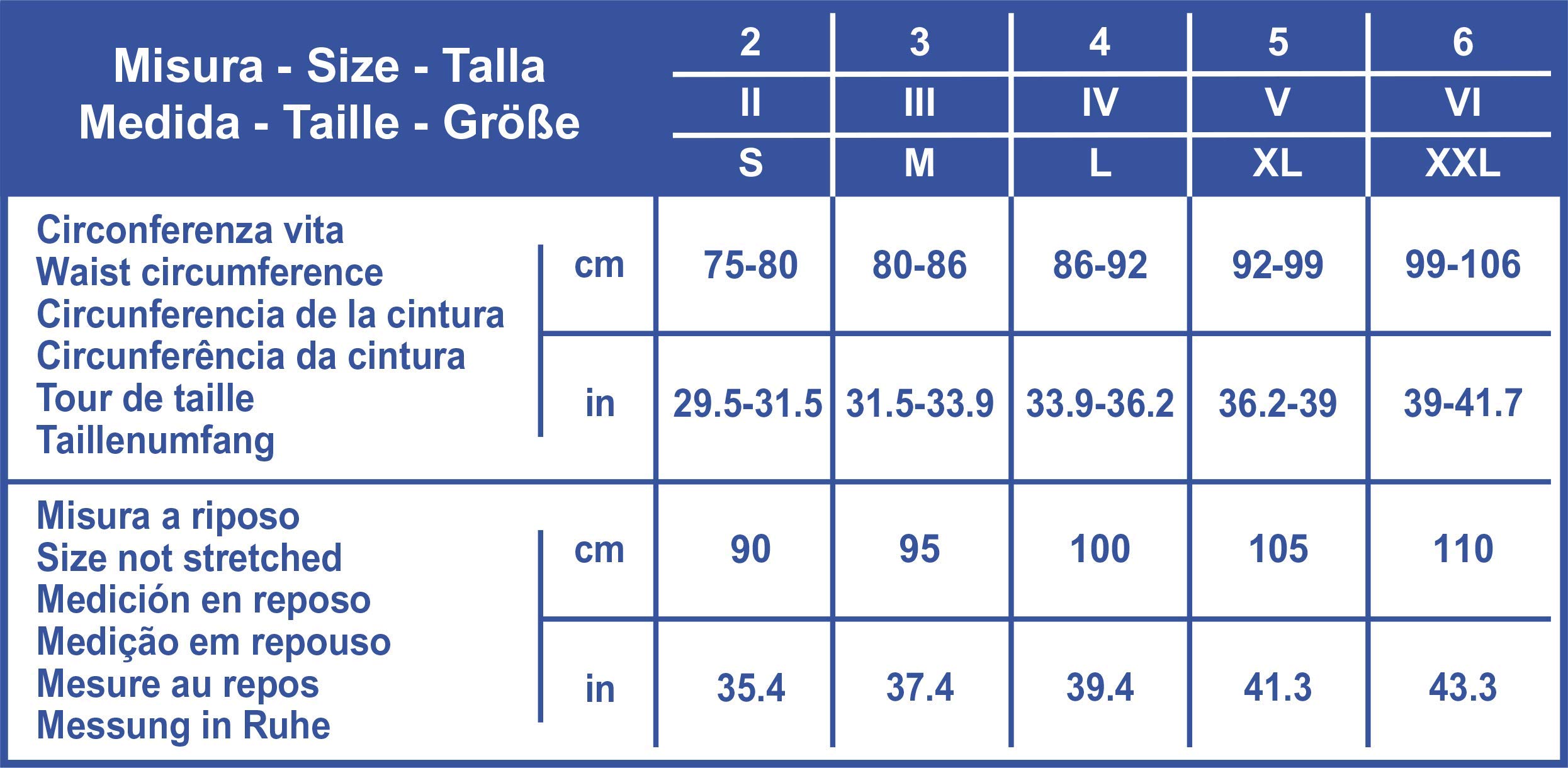 Scudotex Cint Ern Doppio Grigio Taglia 6 - 4