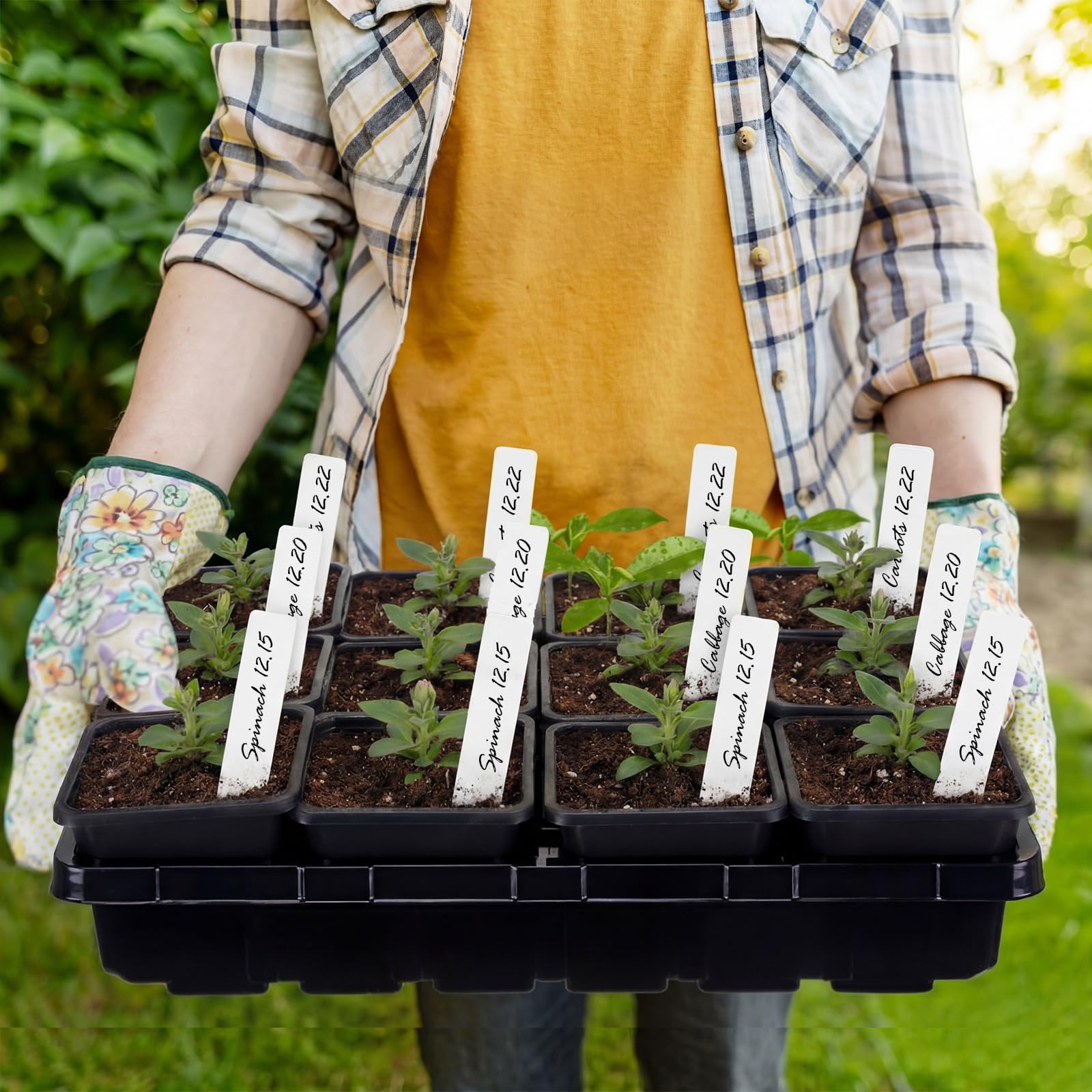 Nuenen 6 Set 9 cm Pflanztöpfe Set Saatgut-Starterschale verdickte quadratische Sämlingtöpfe stabile Mikrogrün-Anzuchtschalen wiederverwendbare Keimschale Pflanzwerkzeuge und Etiketten