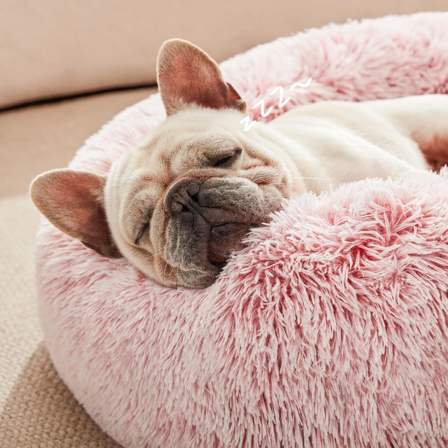 Discover Serenity: Love