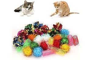 LASOCUHOO: The Purrfect Pack for Indoor Cat Entertainment