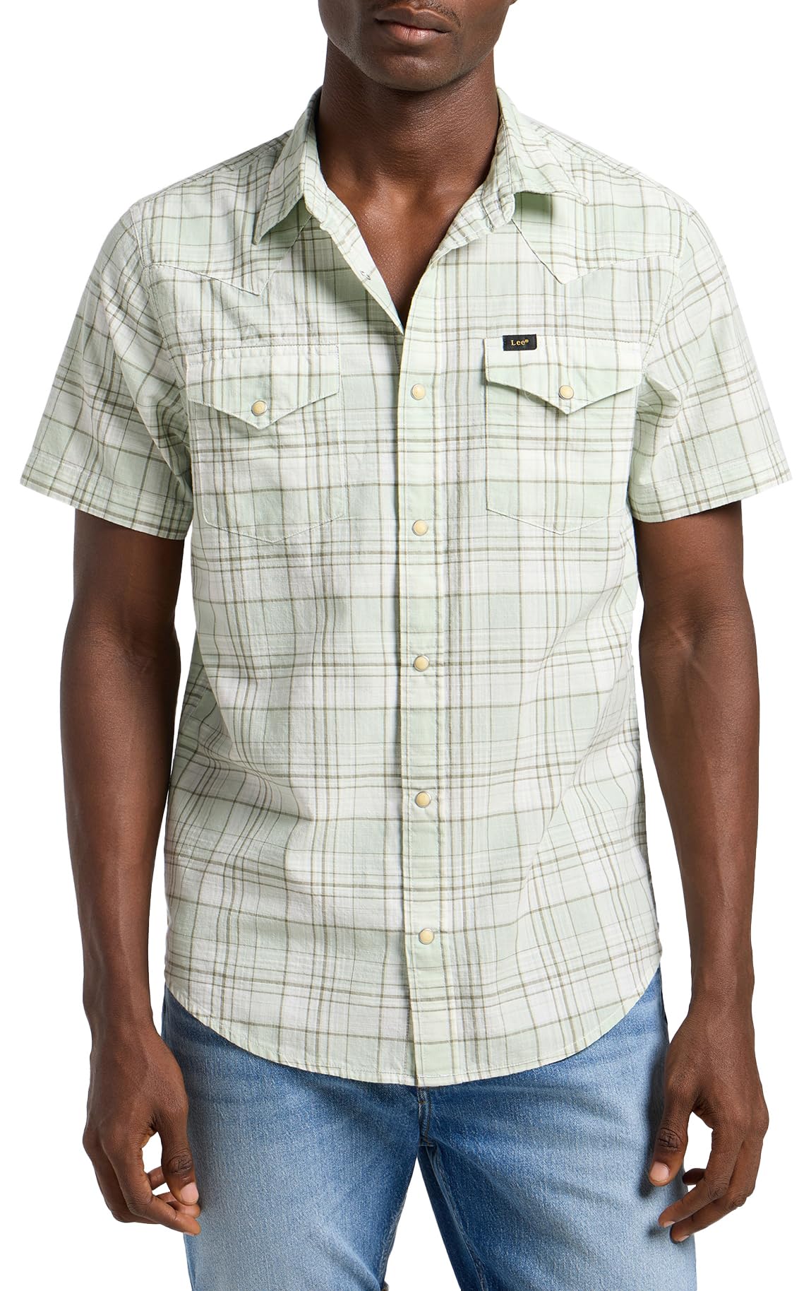 Lee Men's SS Western Shirt, Mercantile Sage Ombre, XL