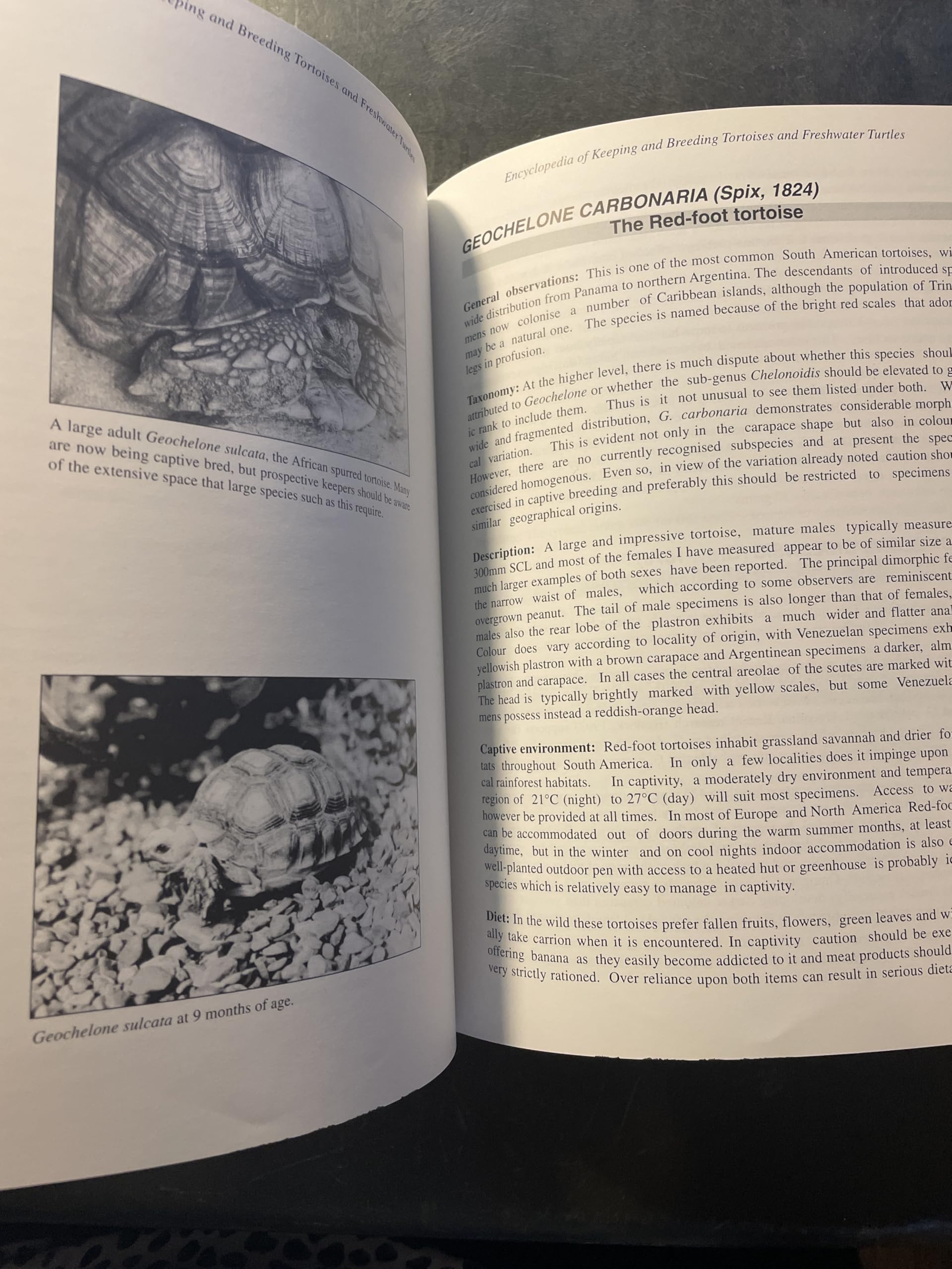 Practical Encyclopedia of Keeping and Breeding Tortoises and Freshwater Turtles