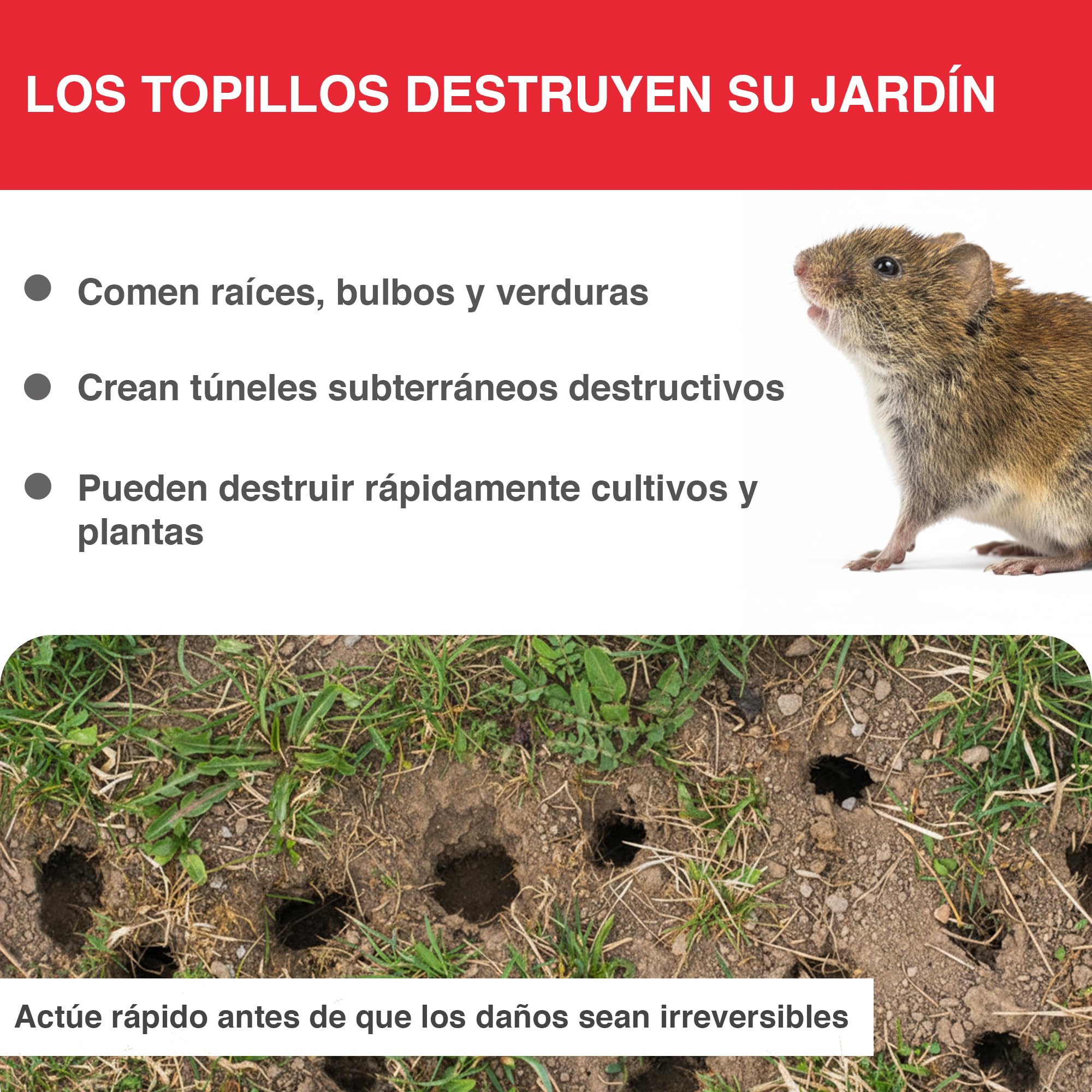 SWISSINNO Trampa para Topillos con Sonda SuperCat Incluida – Trampa Mecánica para Roedores Subterráneos, Control de Jardín, Reutilizable, Instalación en Túnel Vertical – 2 Trampa + 1 Sonda