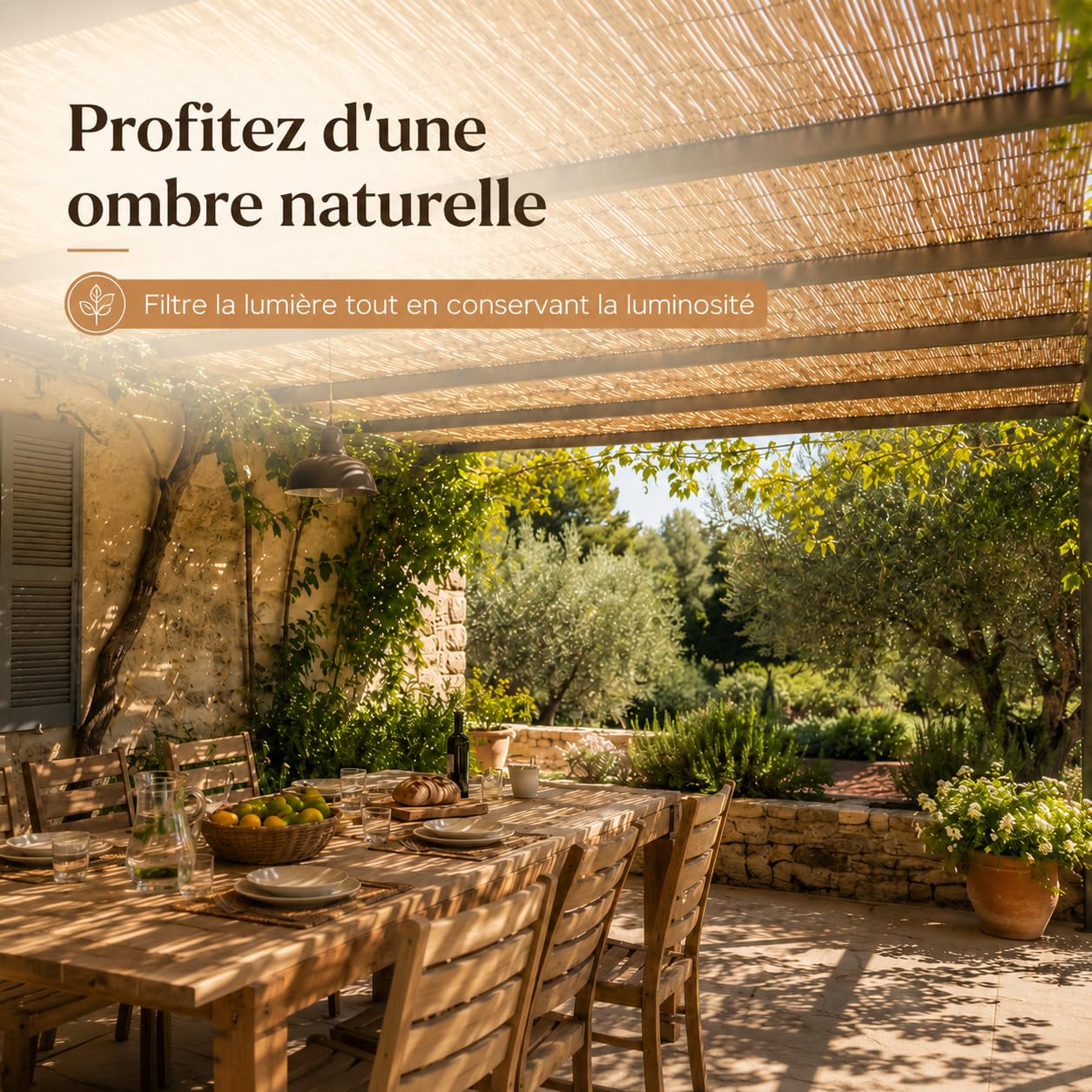 WERKA PRO Lot de 2 Brise-Vue Canisse en Roseau Naturel, 1 x 5 m, Liens en Fil de Fer Plastifié, Occultant pour Clôture et Terrasse (100 x 500 cm)