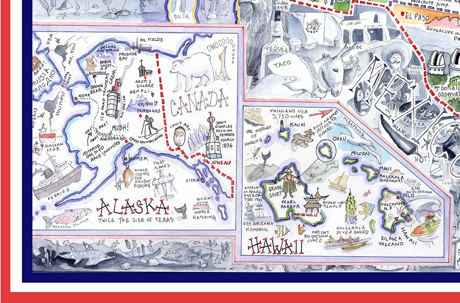 Amazon.com: 1000 Piece Jigsaw Puzzle - Comical Map of USA by Tim