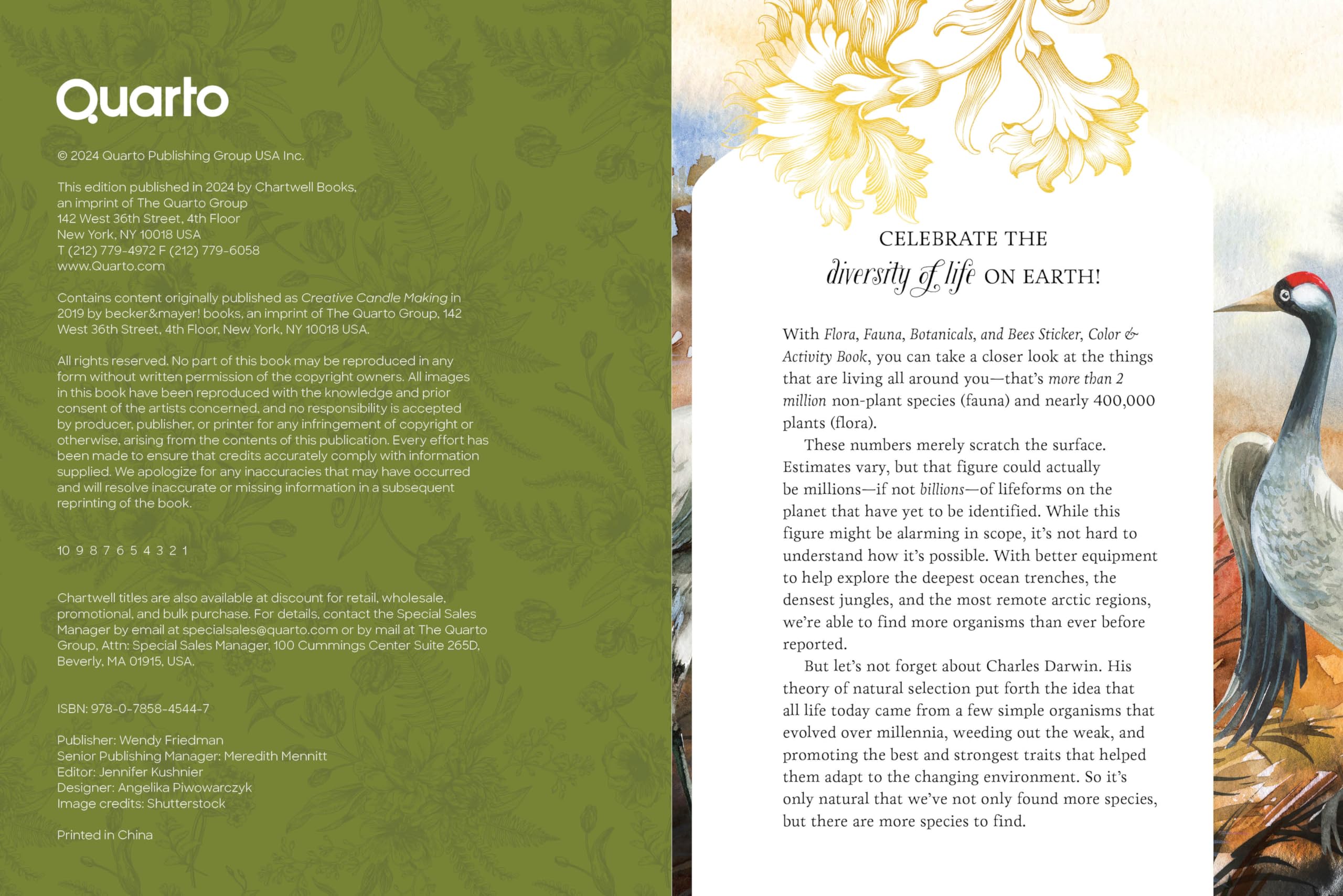 Flora, Fauna, Botanicals, and Bees Sticker, Color & Activity Book: Over 500 Unique Stickers! (Sticker Activity Deluxe Editions) - Image 2