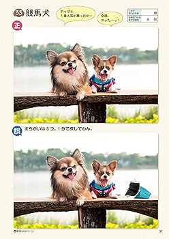 毎日脳活スペシャル いぬのまちがいさがし チワワ大集合の巻