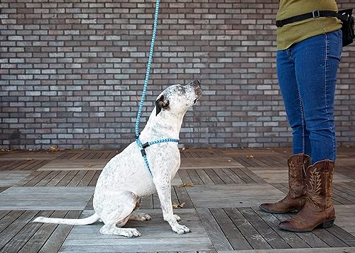 Miniatura 8 de Correa de arnés, correa resistente a escapes, reduce los jalones, arnés para perro